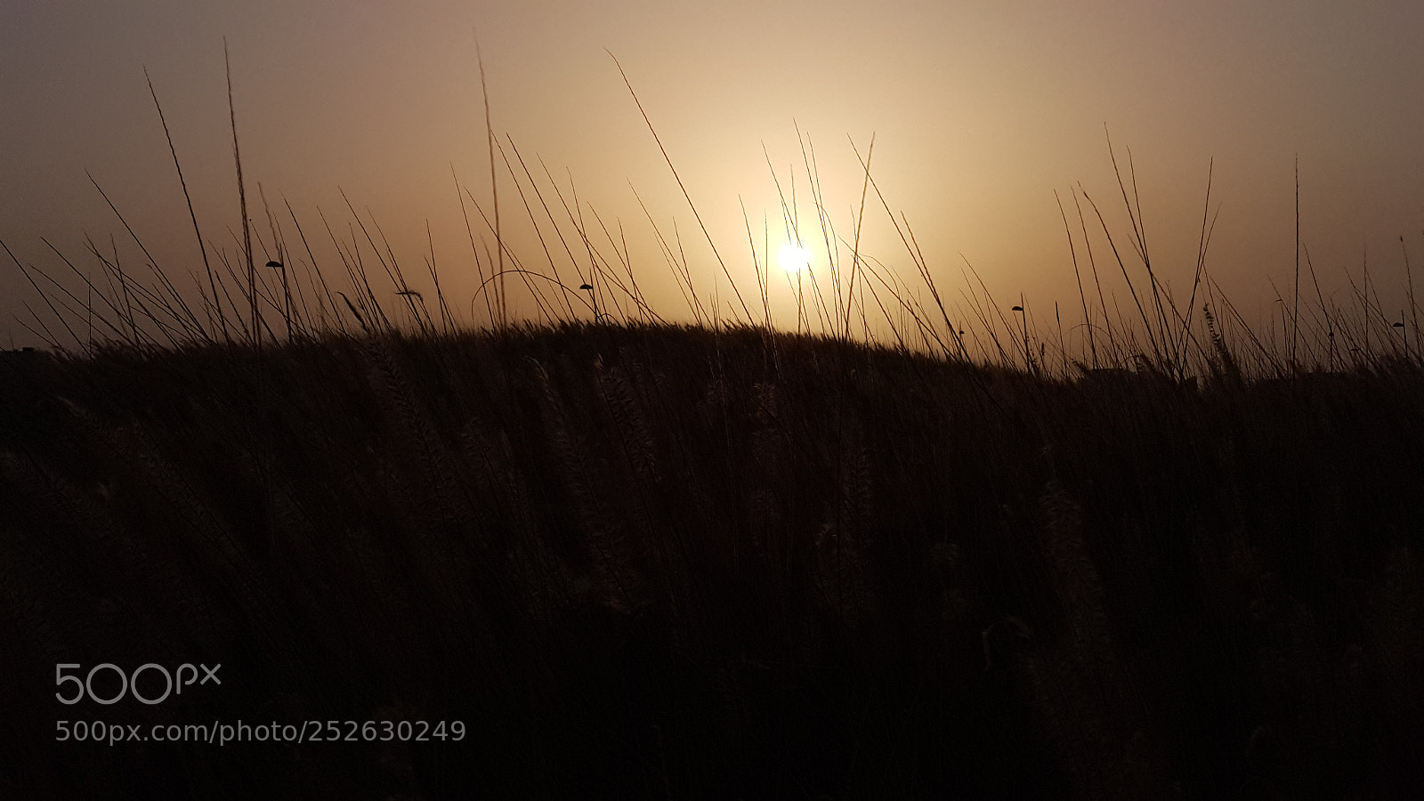 Samsung Galaxy Note4 sample photo. Golden sunset photography
