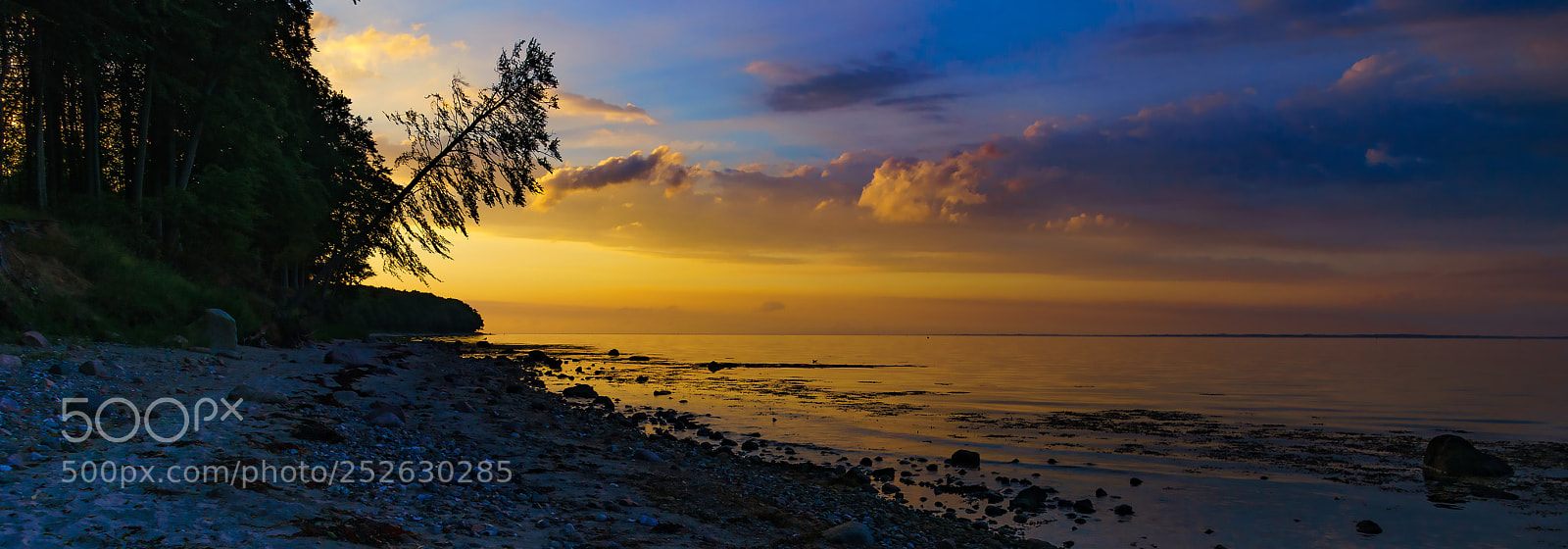Sony ILCA-77M2 sample photo. Crooked, oblique photography