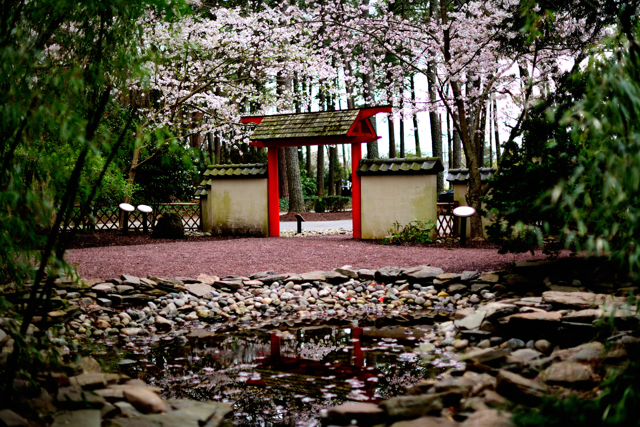 Nikon D850 + Nikon AF-S Nikkor 50mm F1.4G sample photo. Miyazaki japanese garden photography