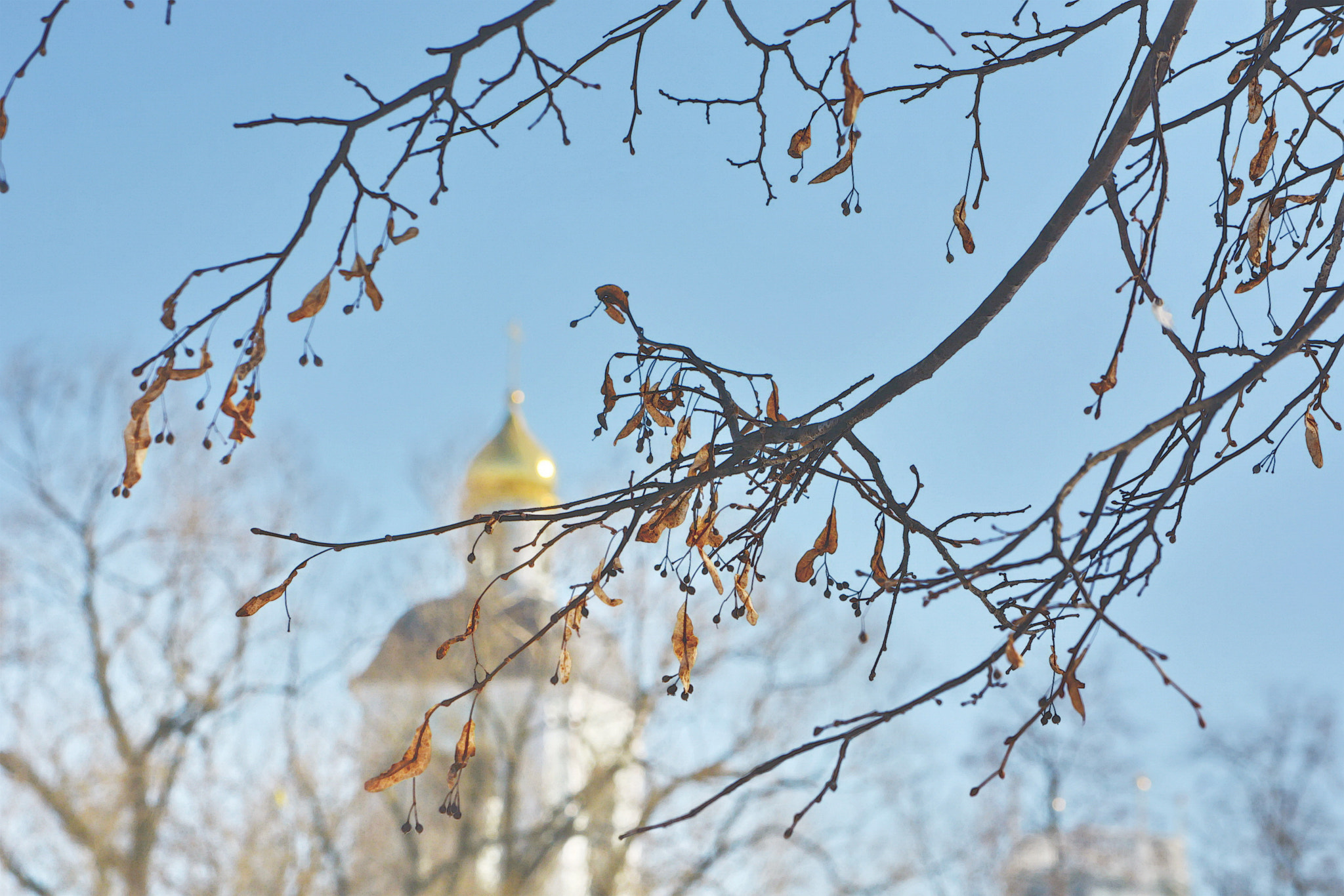 Nikon D5200 sample photo. Comes awakening photography