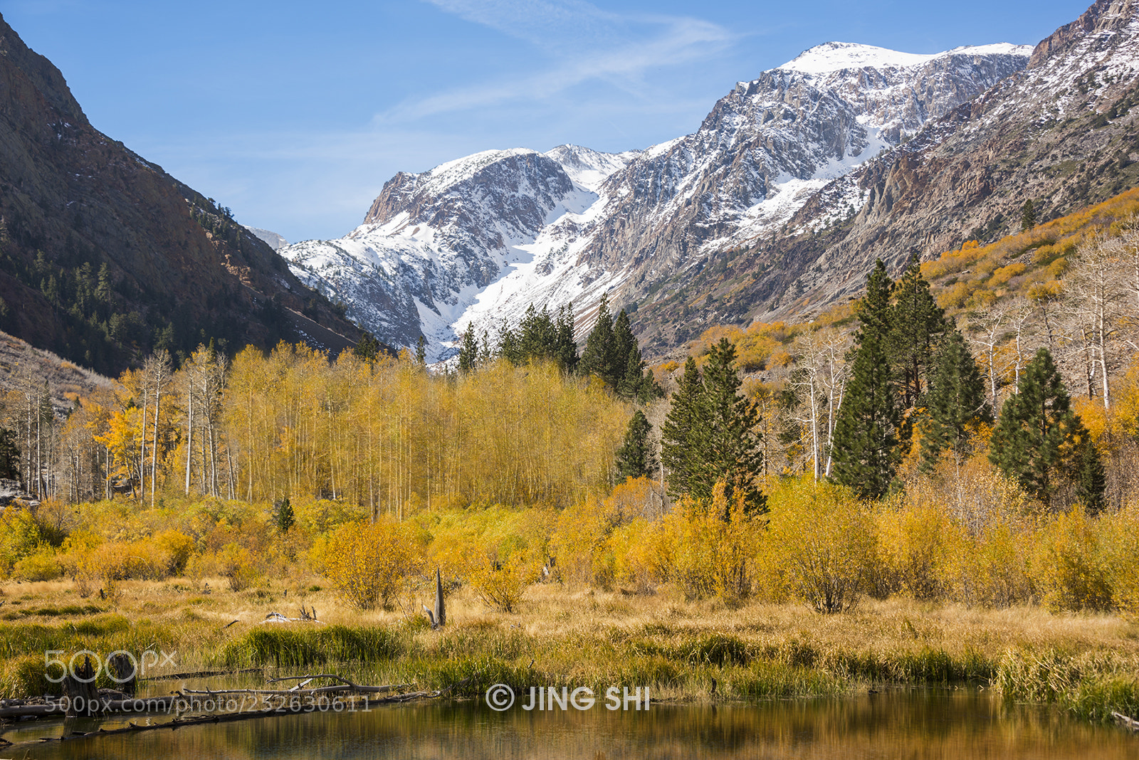 Nikon D810 sample photo. A golden autumn day photography