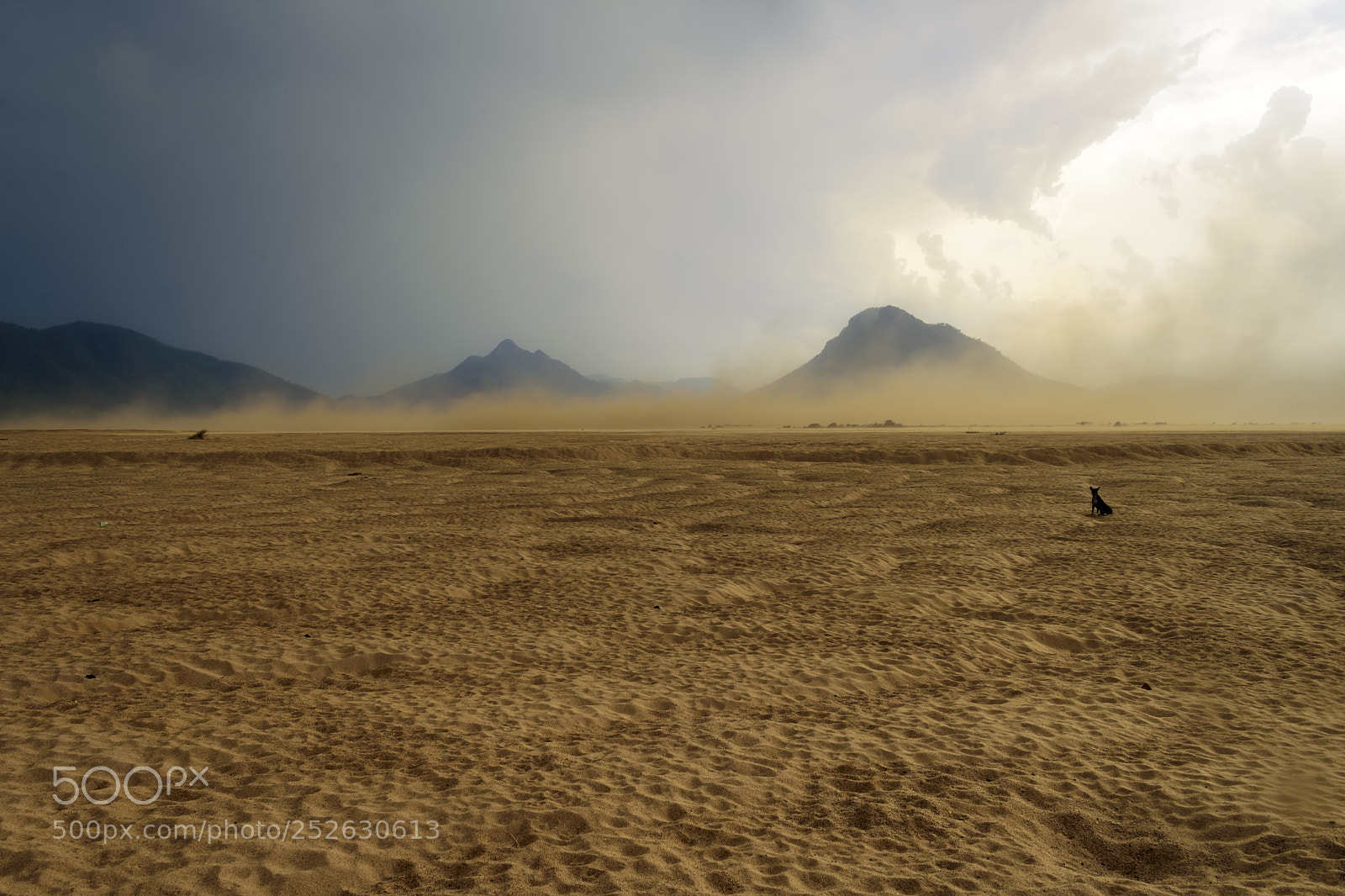 Nikon D7200 sample photo. Sandstorm raging over the photography