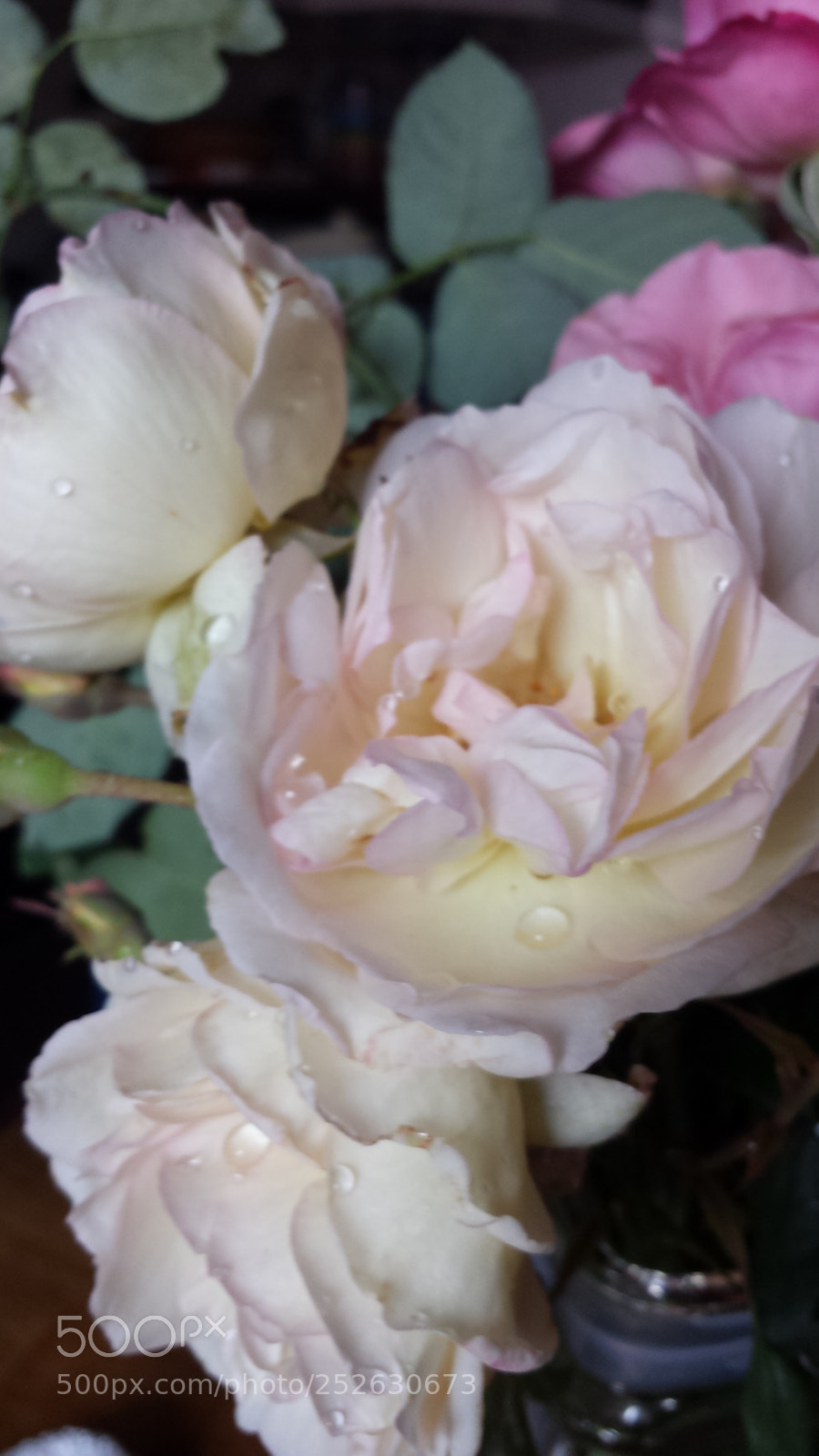 Samsung Galaxy S4 sample photo. Untitled photography