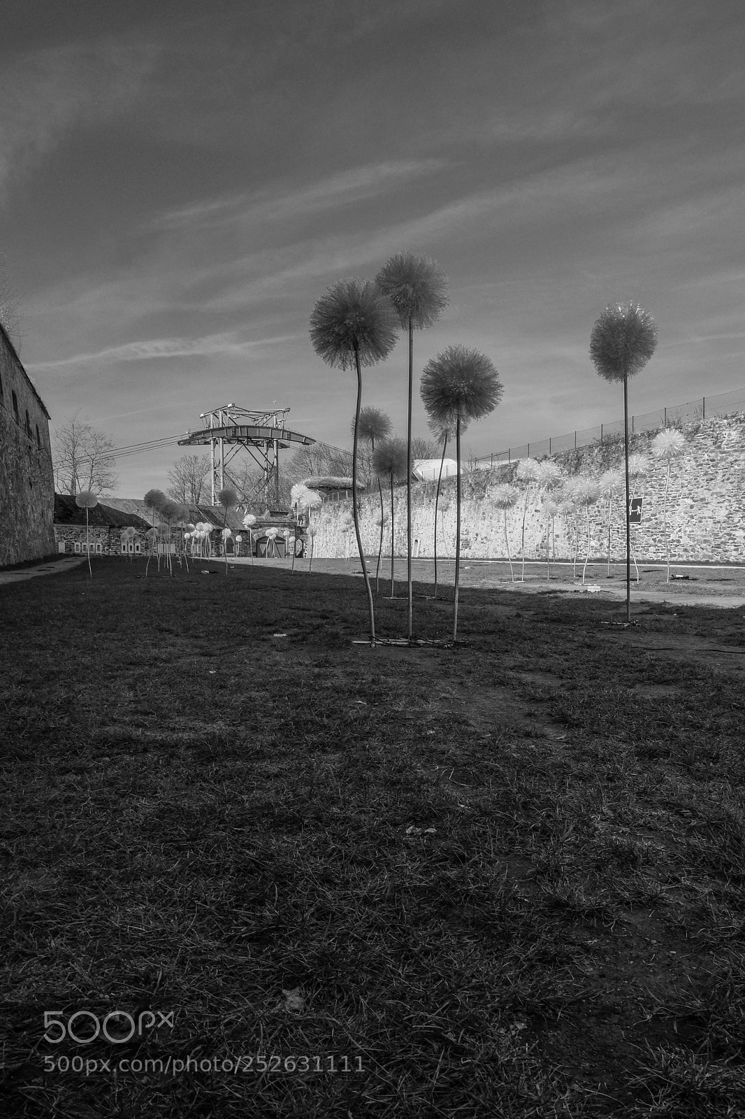Fujifilm X-T2 sample photo. Koblenz photography