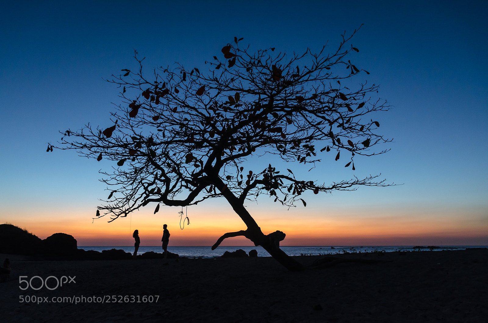 Nikon D7000 sample photo. Incredible costa rica photography