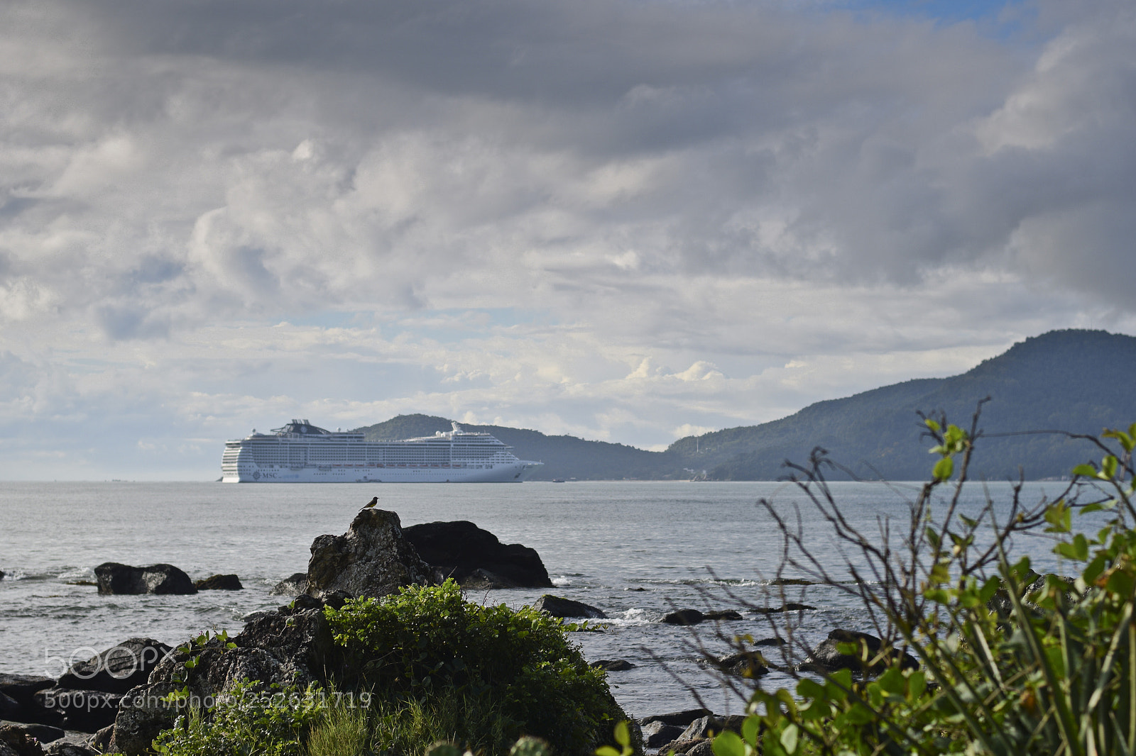 Nikon D5300 sample photo. Apreciando mais um transatl photography