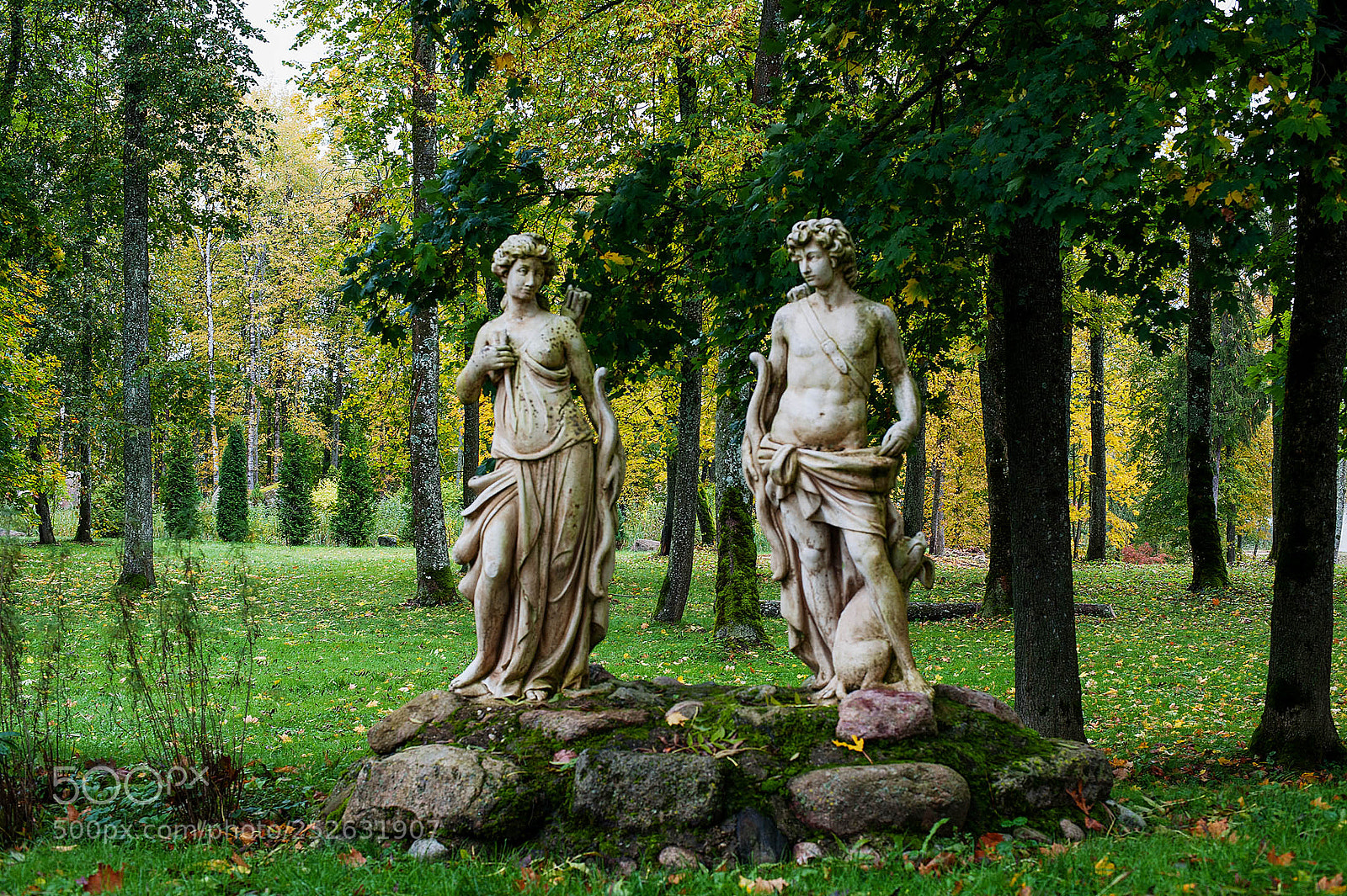 Nikon D3 sample photo. In the park photography