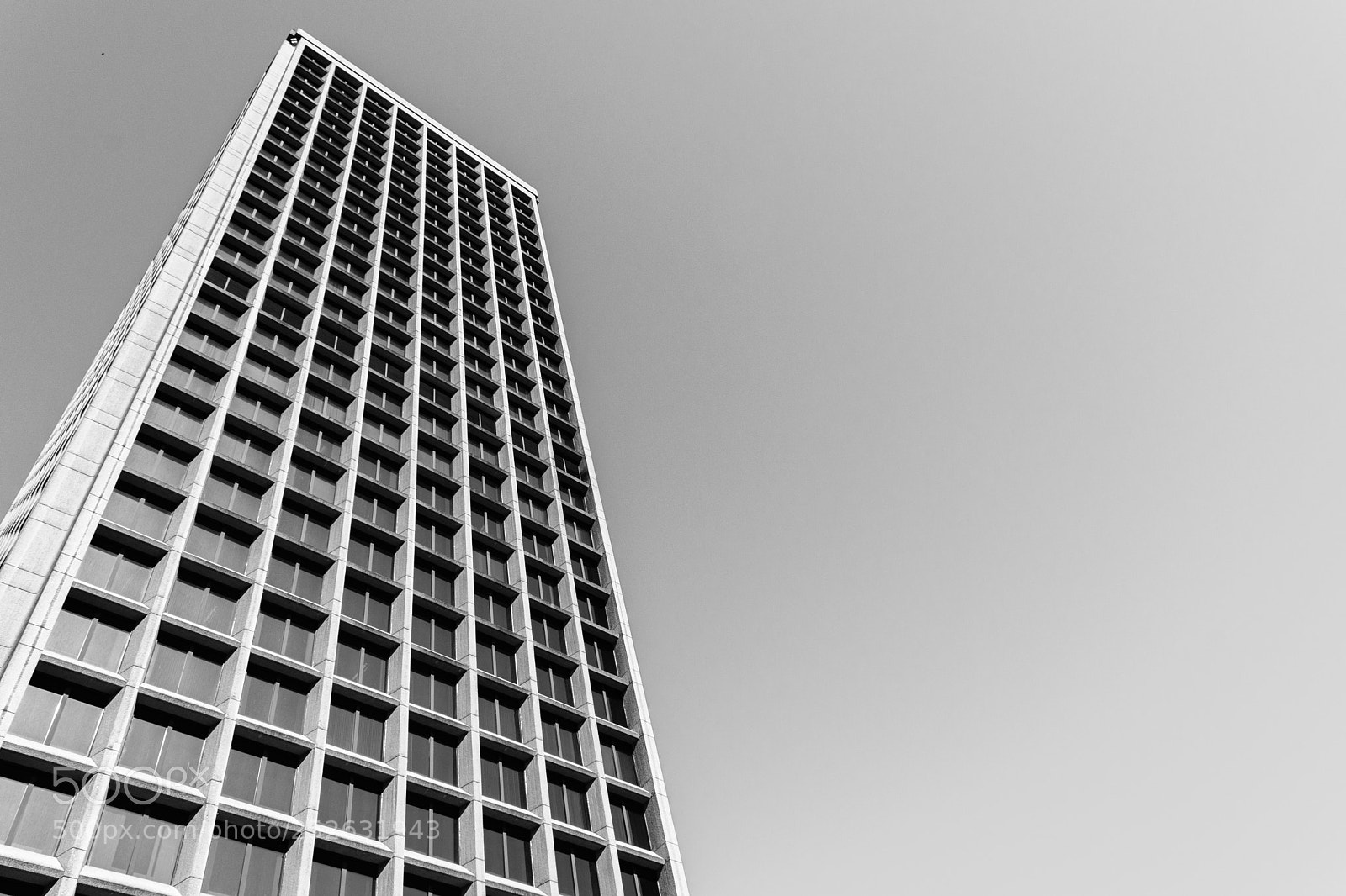 Nikon D5300 sample photo. Black and white photography