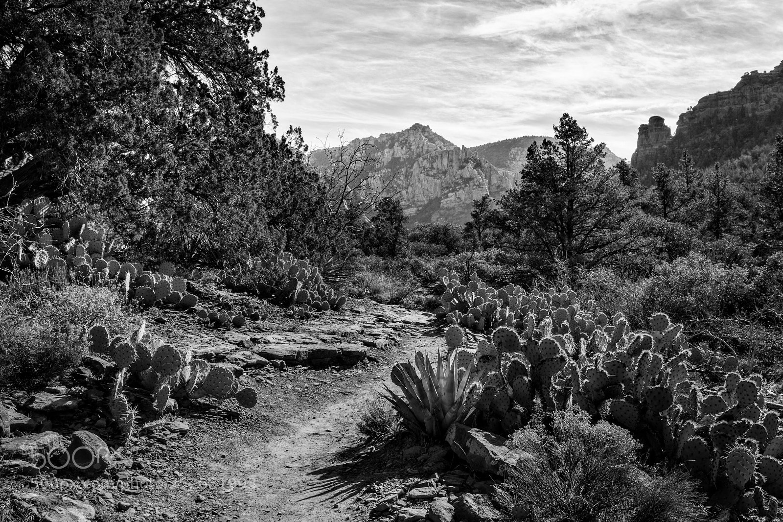 Sony a6000 sample photo. Sedona monotone photography