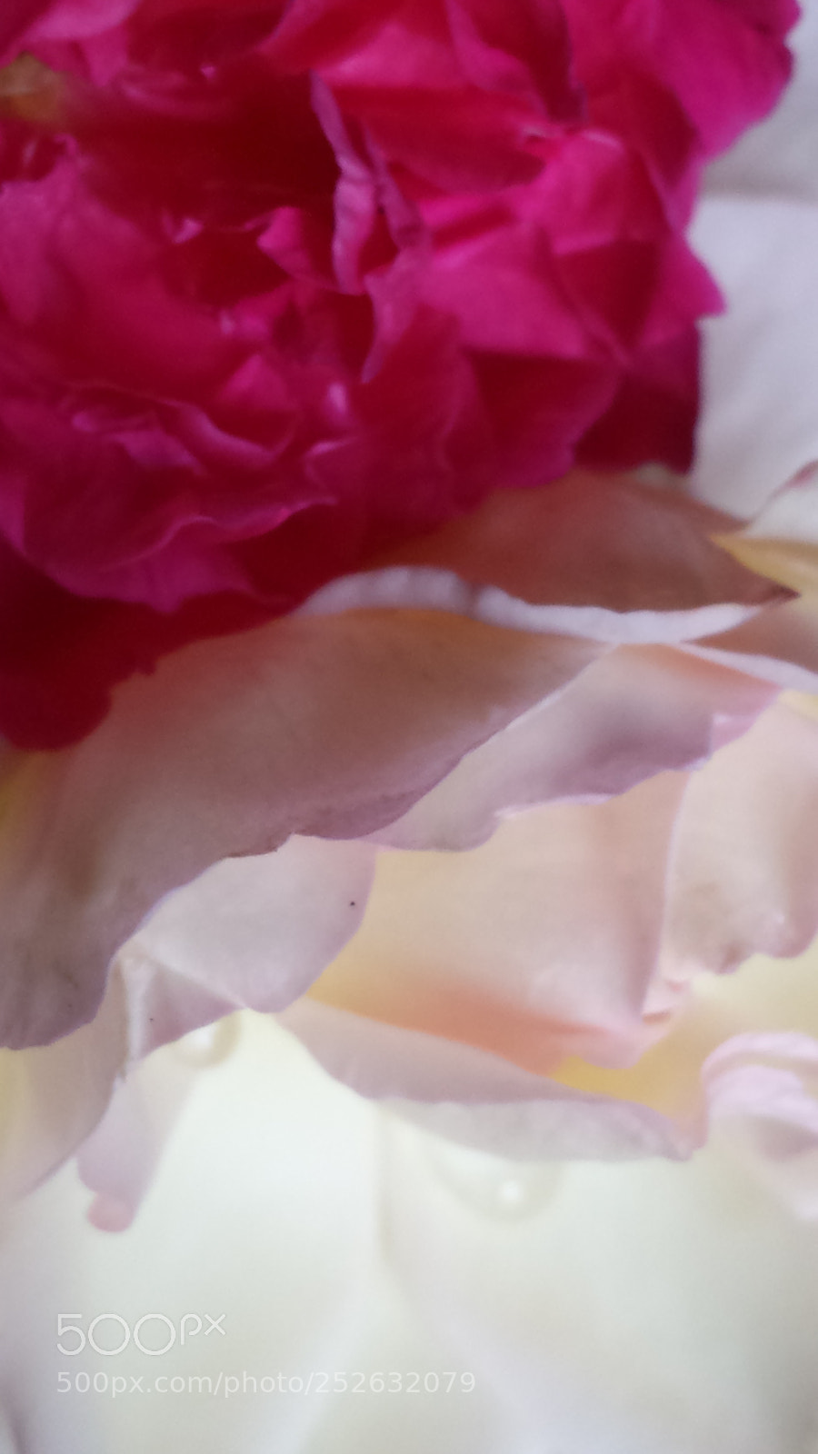Samsung Galaxy S4 sample photo. Untitled photography