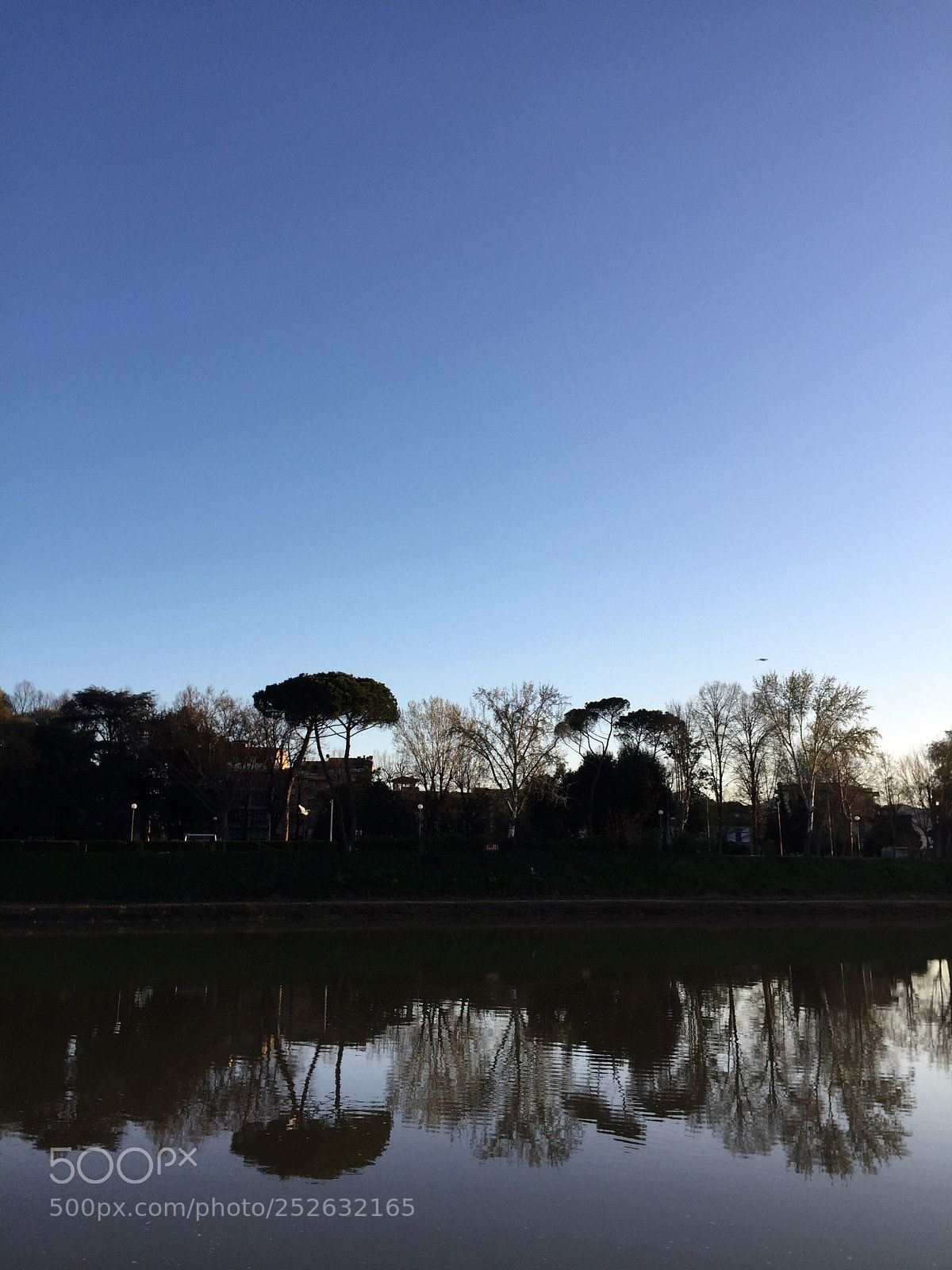 Apple iPhone 6 sample photo. Blue sky photography