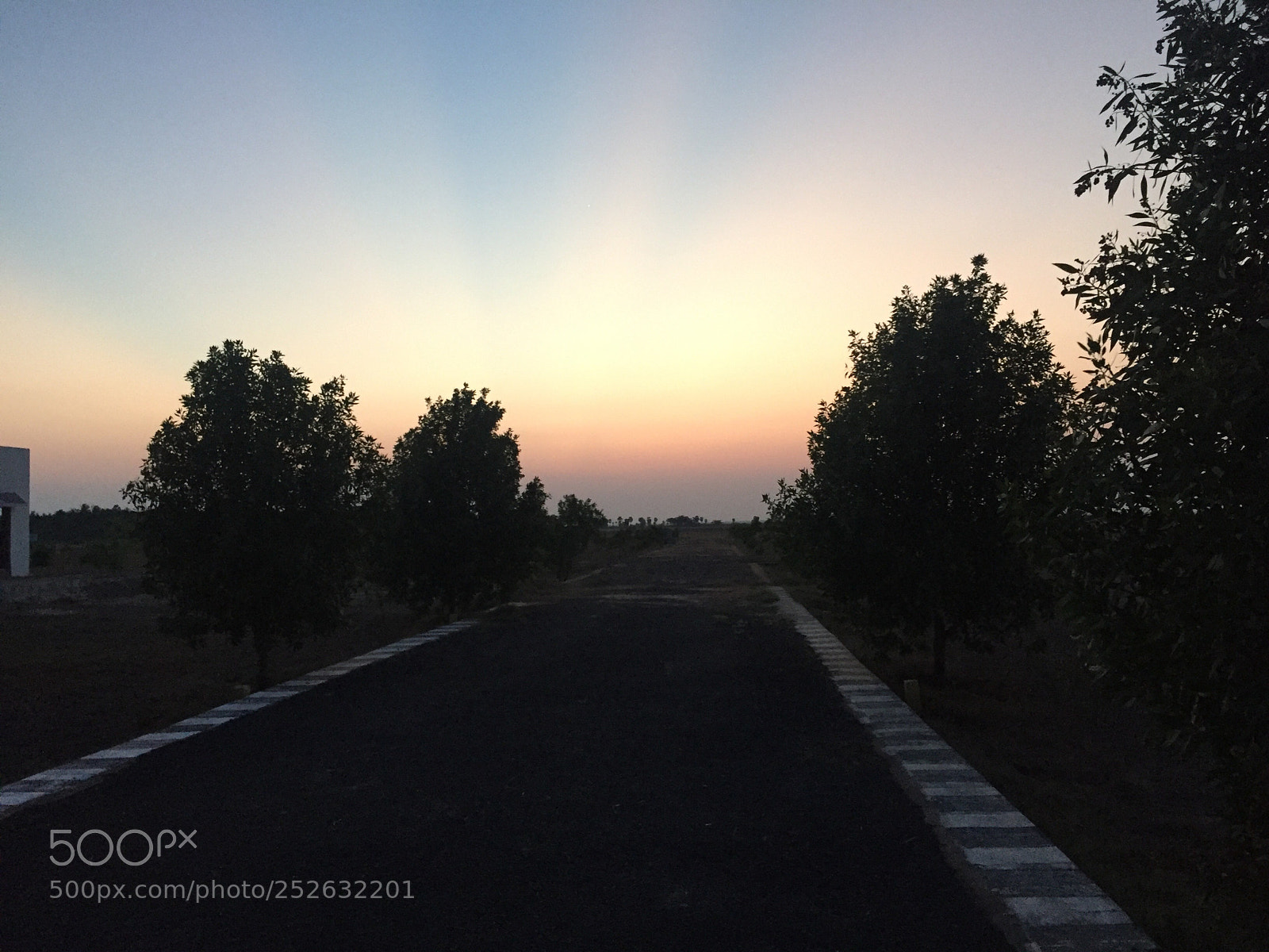 Apple iPhone 6 sample photo. Untitled photography