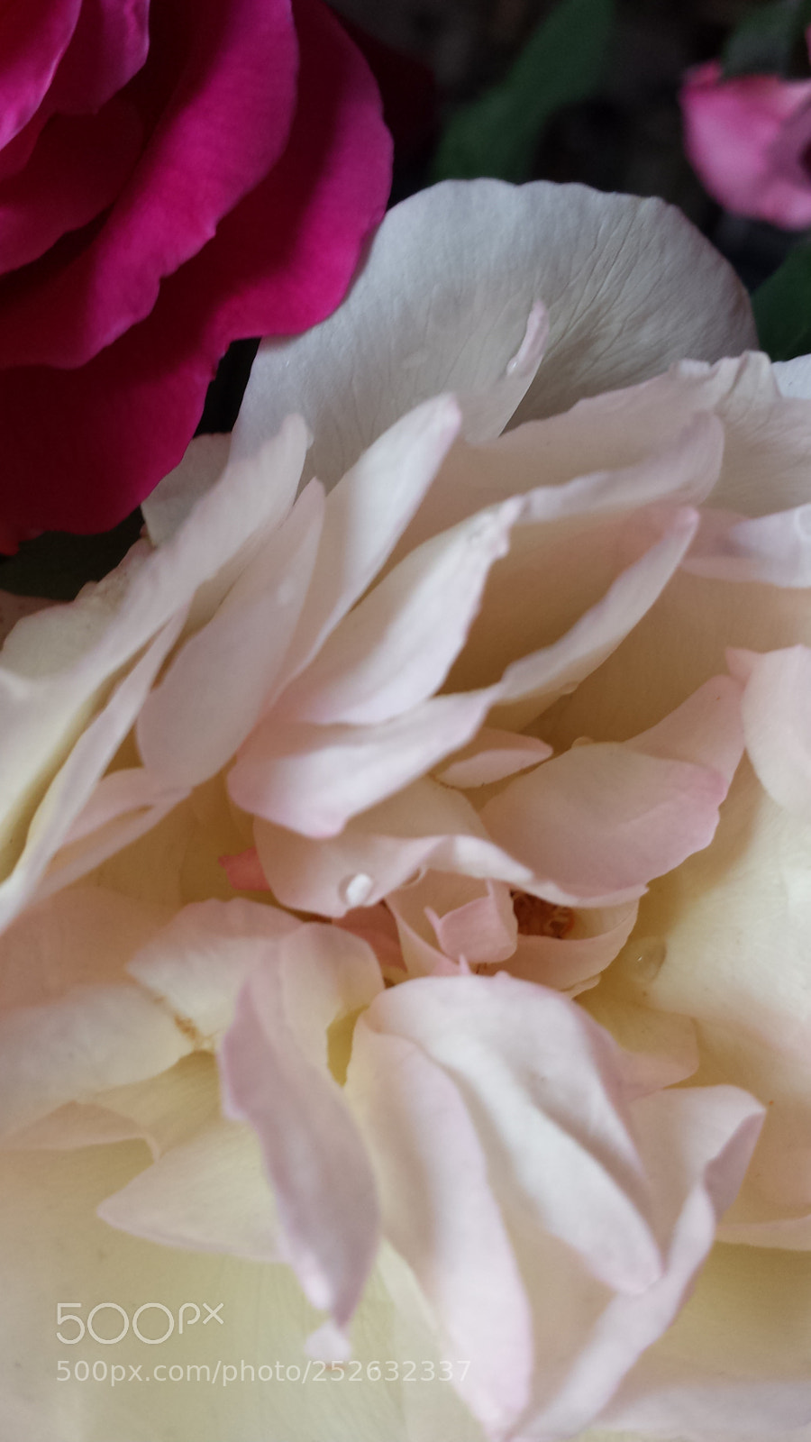 Samsung Galaxy S4 sample photo. Untitled photography