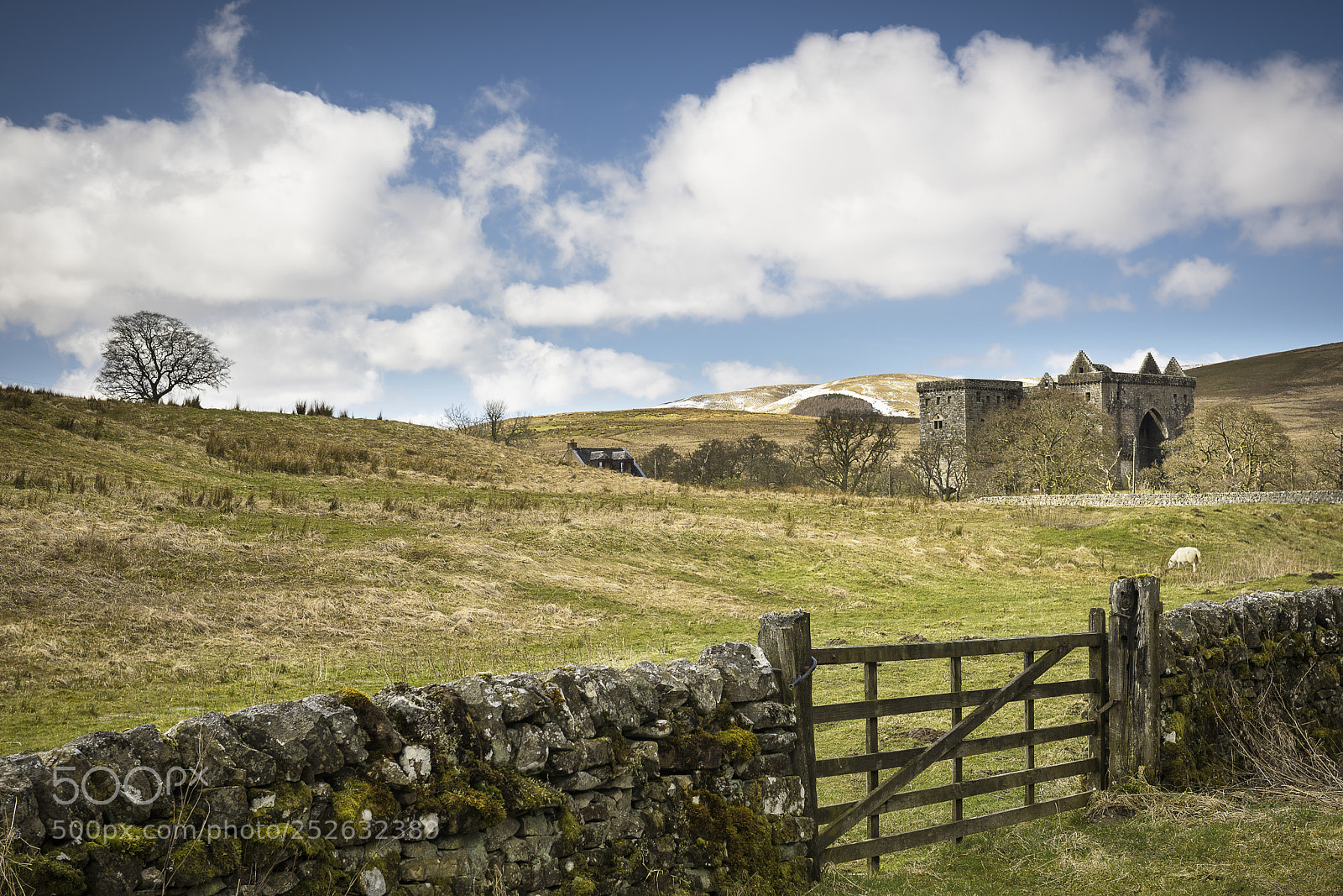 Nikon D810 sample photo. Hermitage castle photography