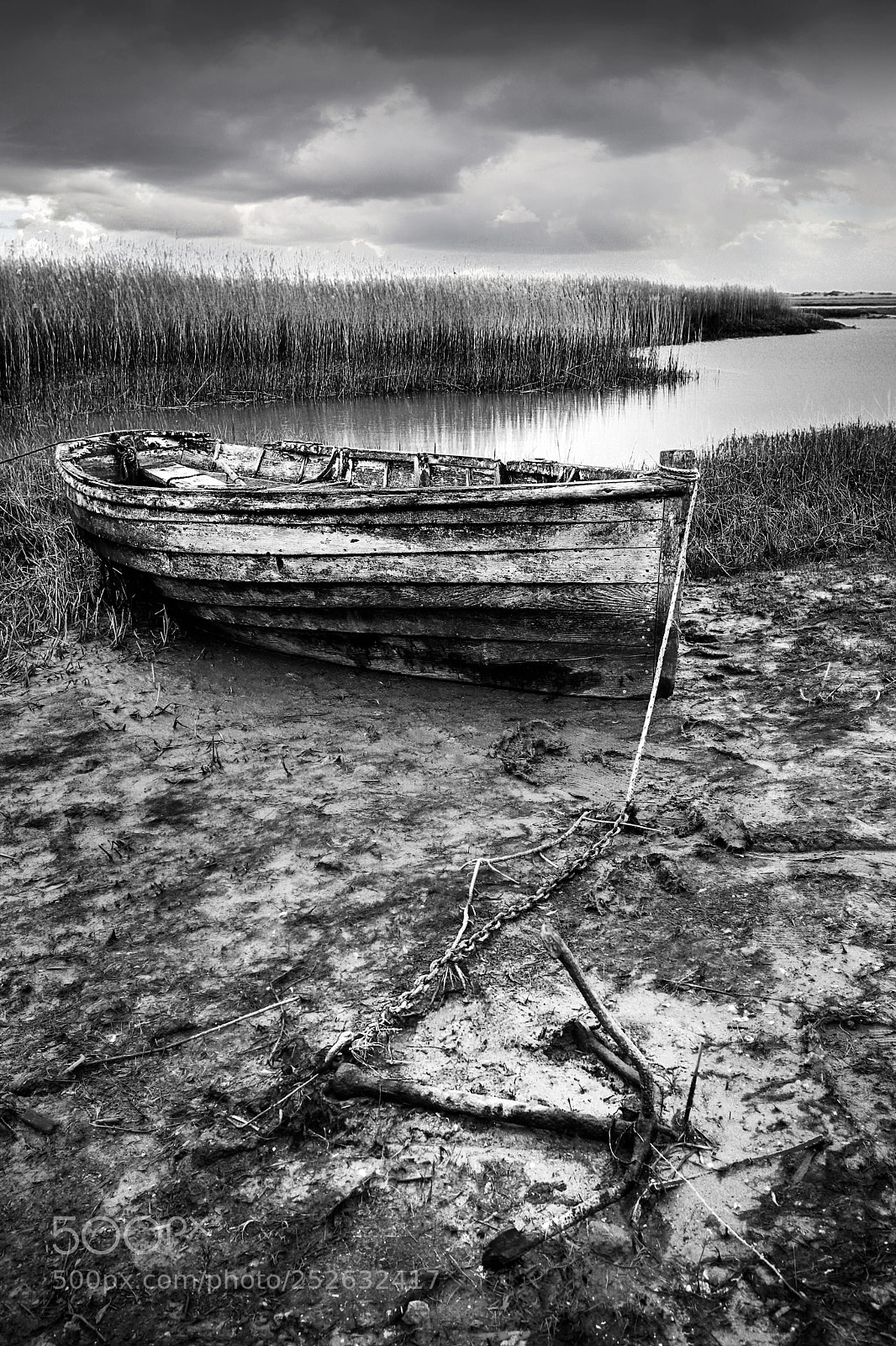 Canon EOS 5D Mark IV sample photo. Stuck in the mud photography