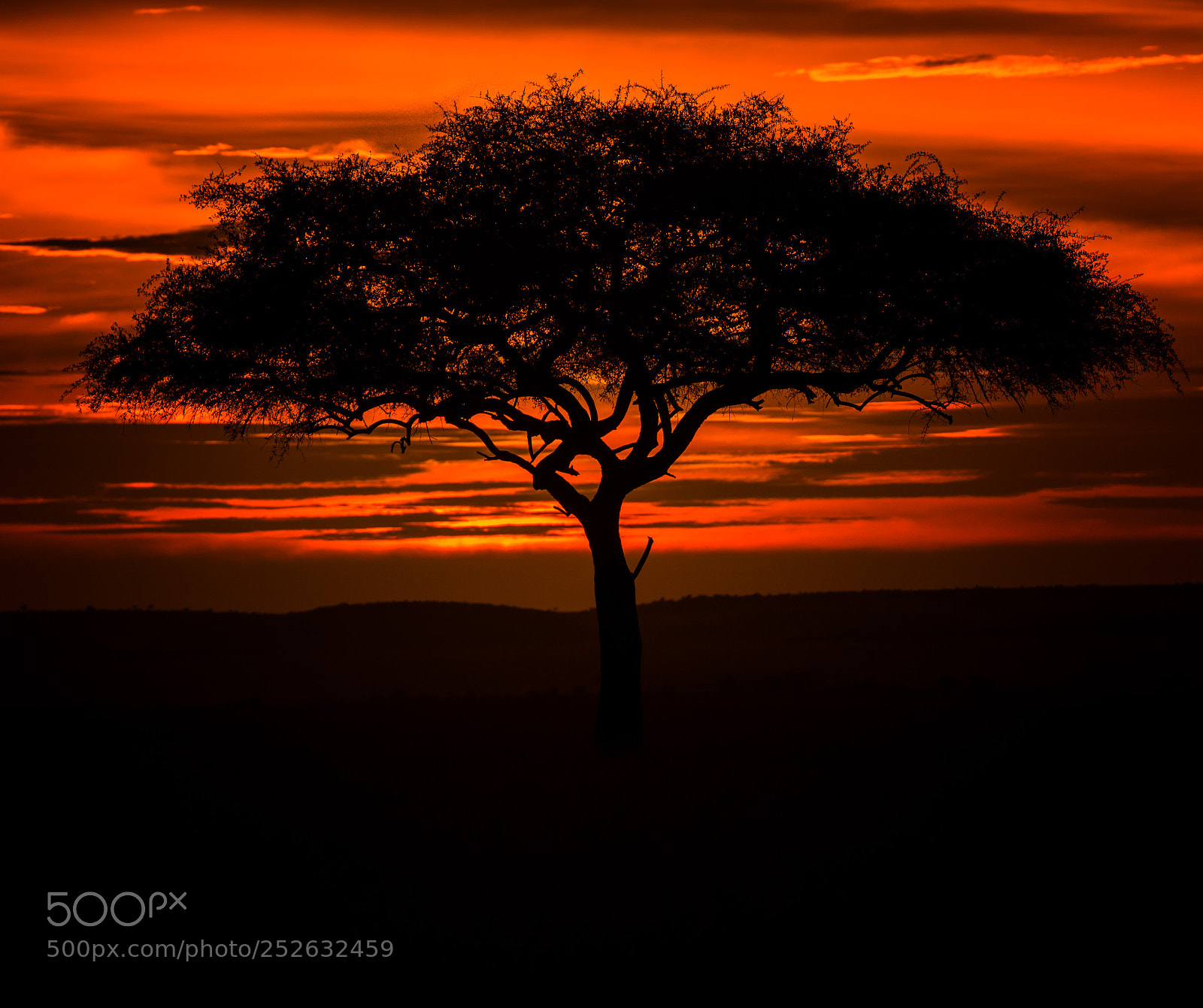 Nikon D810 sample photo. Africa sunset photography