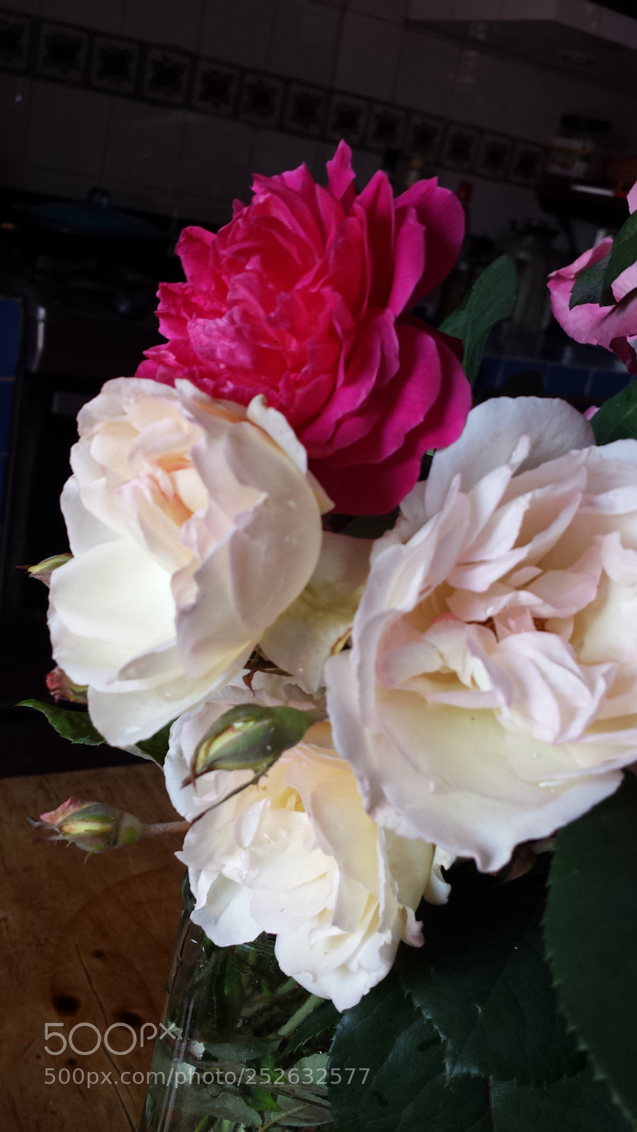 Samsung Galaxy S4 sample photo. Untitled photography