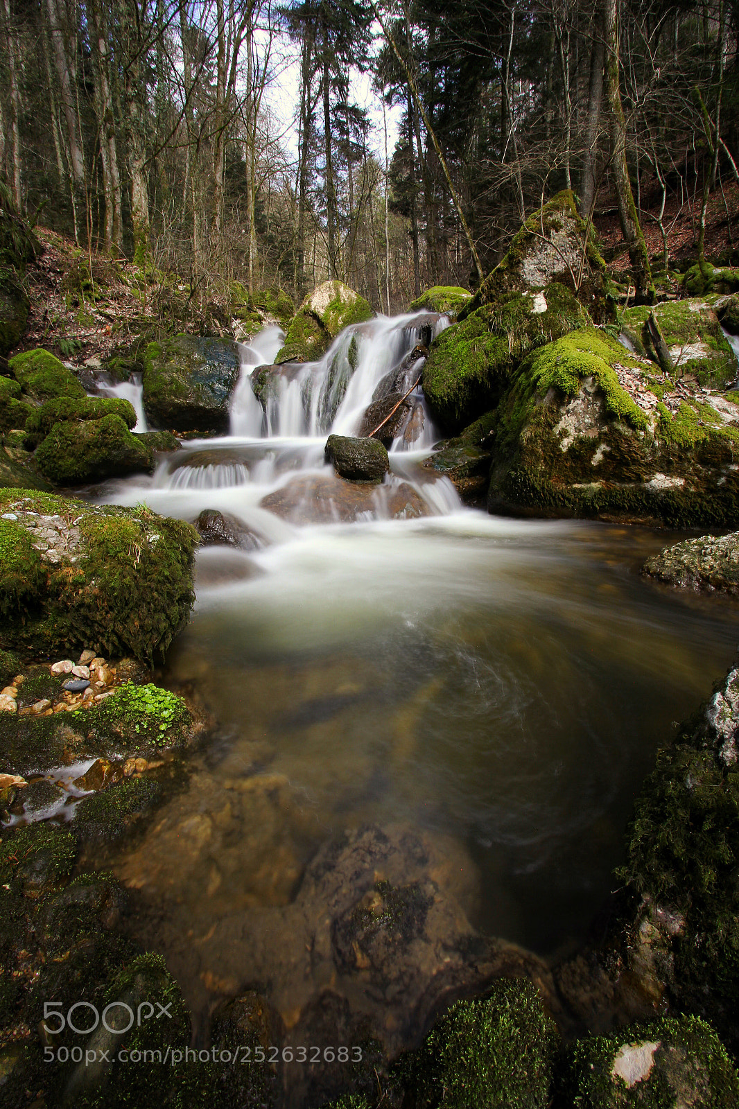 Canon EOS 60D sample photo. Twannbach photography