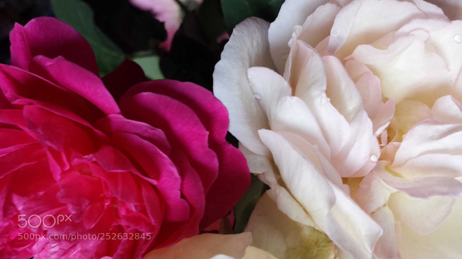 Samsung Galaxy S4 sample photo. Untitled photography