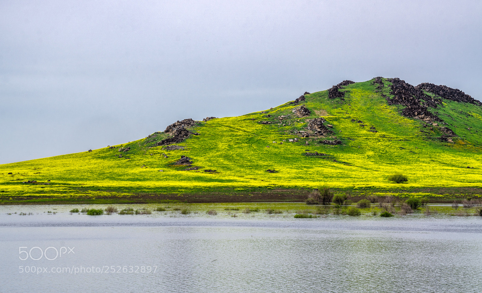 Sony a6000 sample photo. Green hills on lake photography