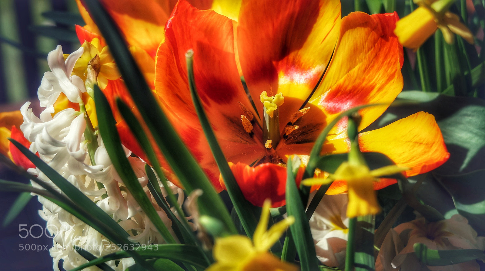 Canon PowerShot G7 X Mark II sample photo. Fr hling, ja du photography