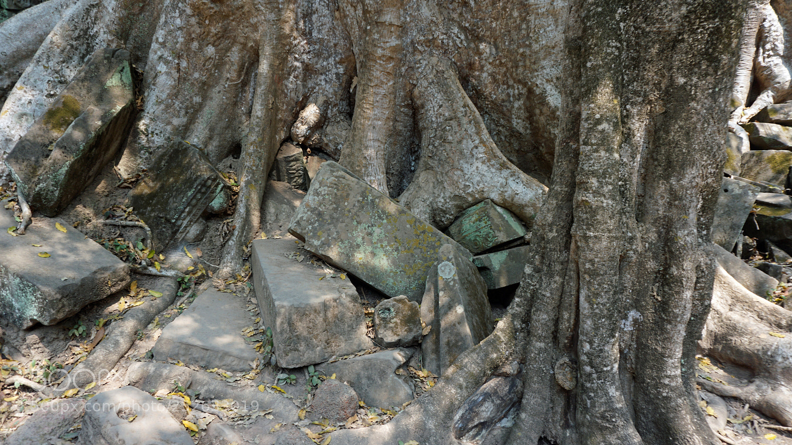 Sony a6000 sample photo. Ankor wat temple complex photography