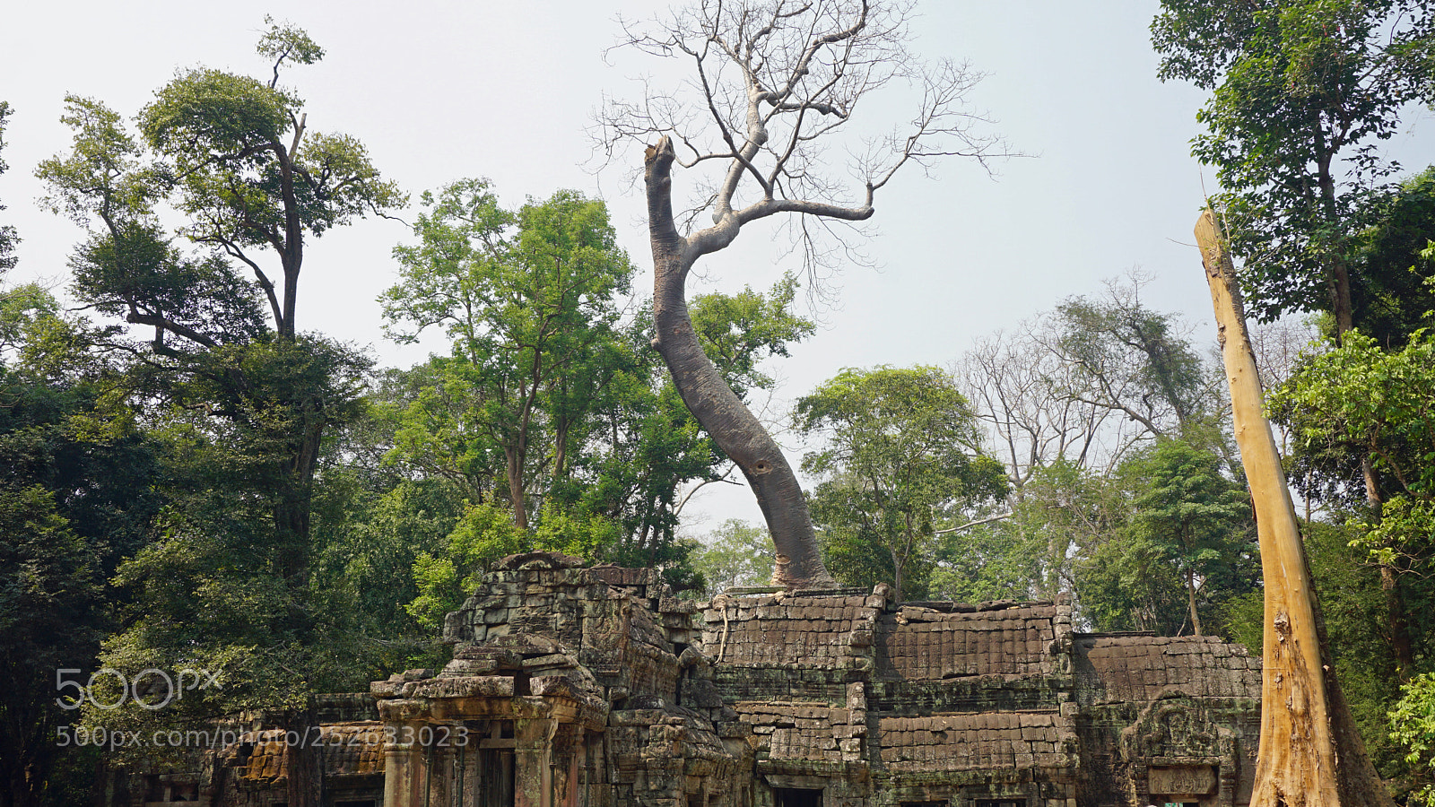 Sony a6000 sample photo. Ankor wat temple complex photography
