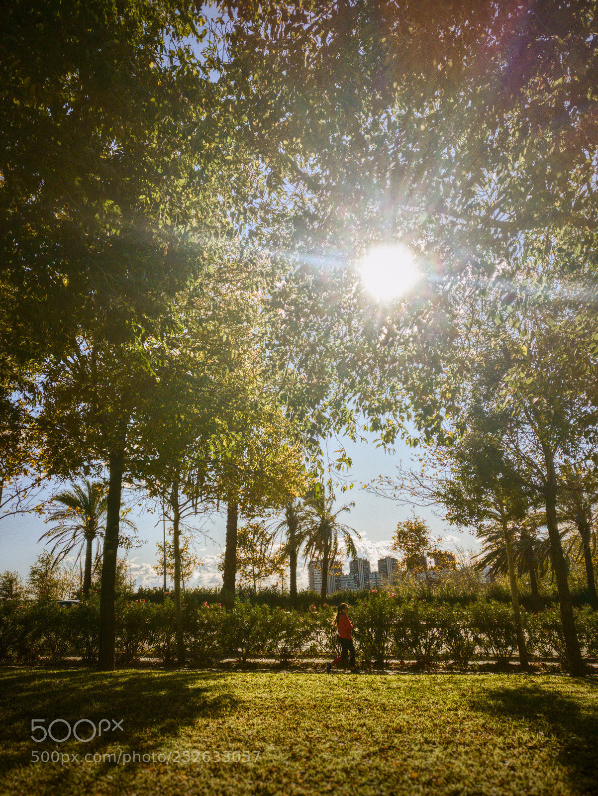 OnePlus A3003 sample photo. Morning run photography