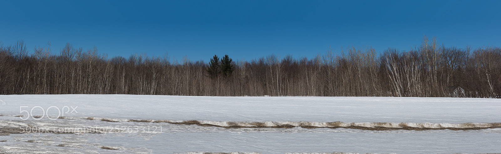 Nikon D810 sample photo. Quebec city and surrounds photography