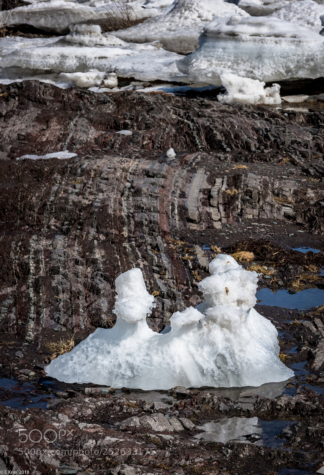 Nikon D810 sample photo. Quebec city and surrounds photography