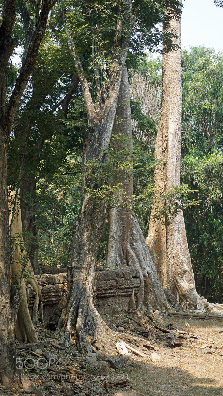 Sony a6000 sample photo. Ankor wat temple complex photography