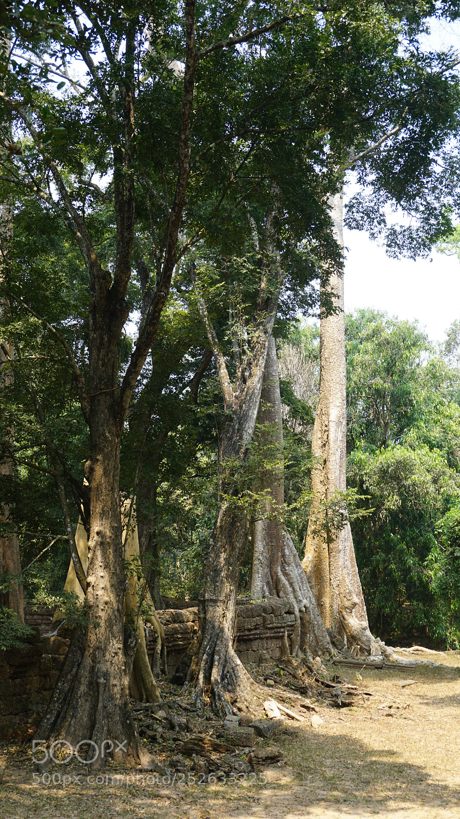 Sony a6000 sample photo. Ankor wat temple complex photography