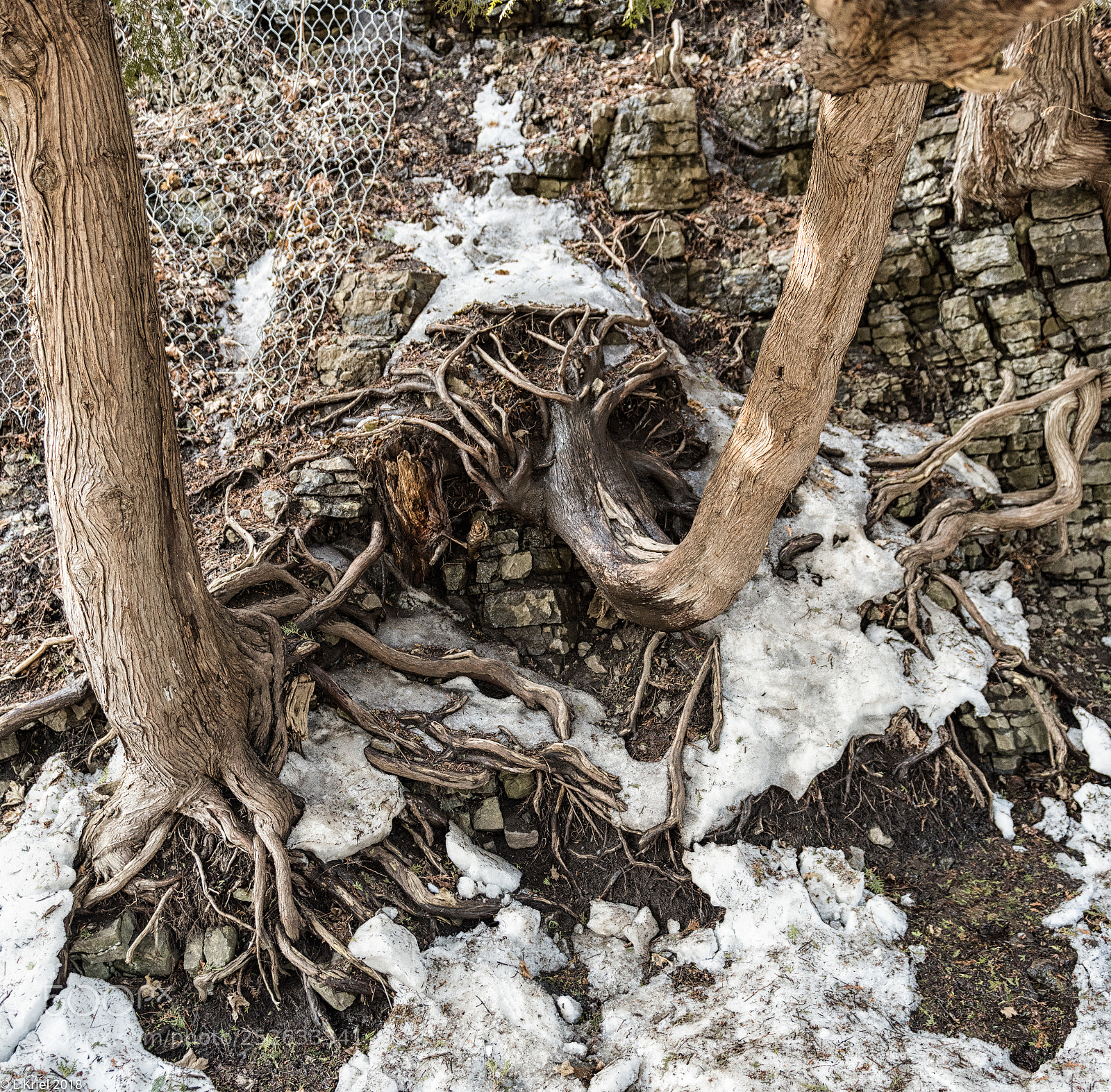 Nikon D810 sample photo. Quebec city and surrounds photography