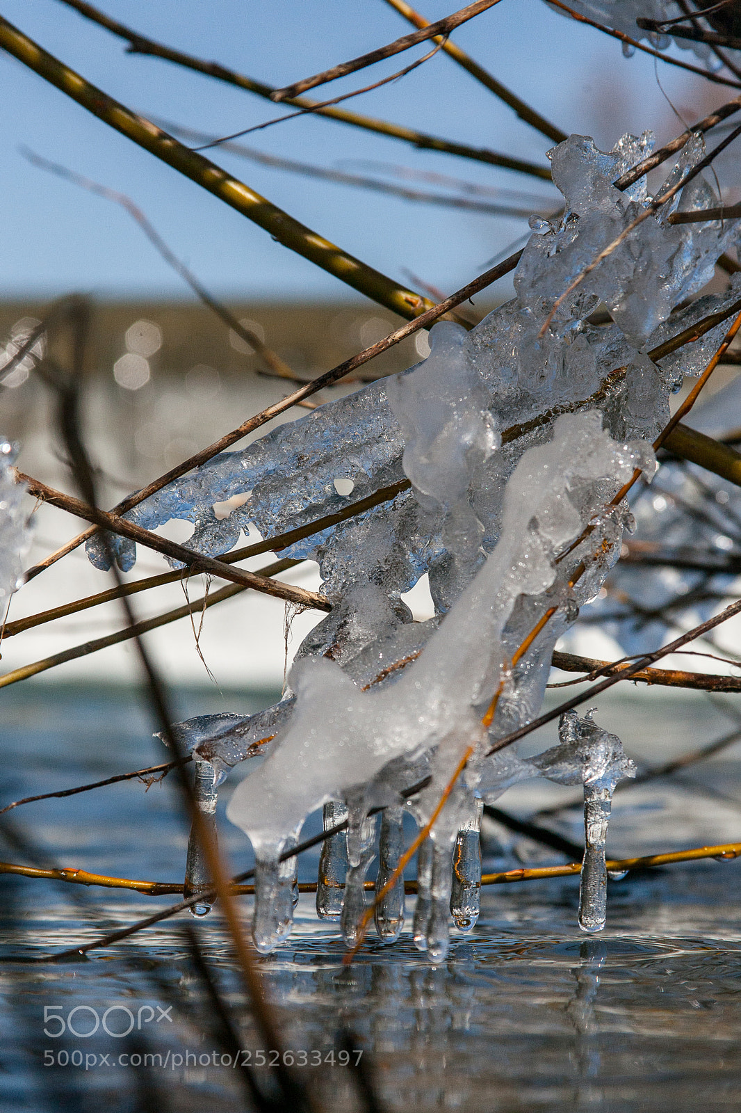 Canon EOS 5D sample photo. Spring freshness photography
