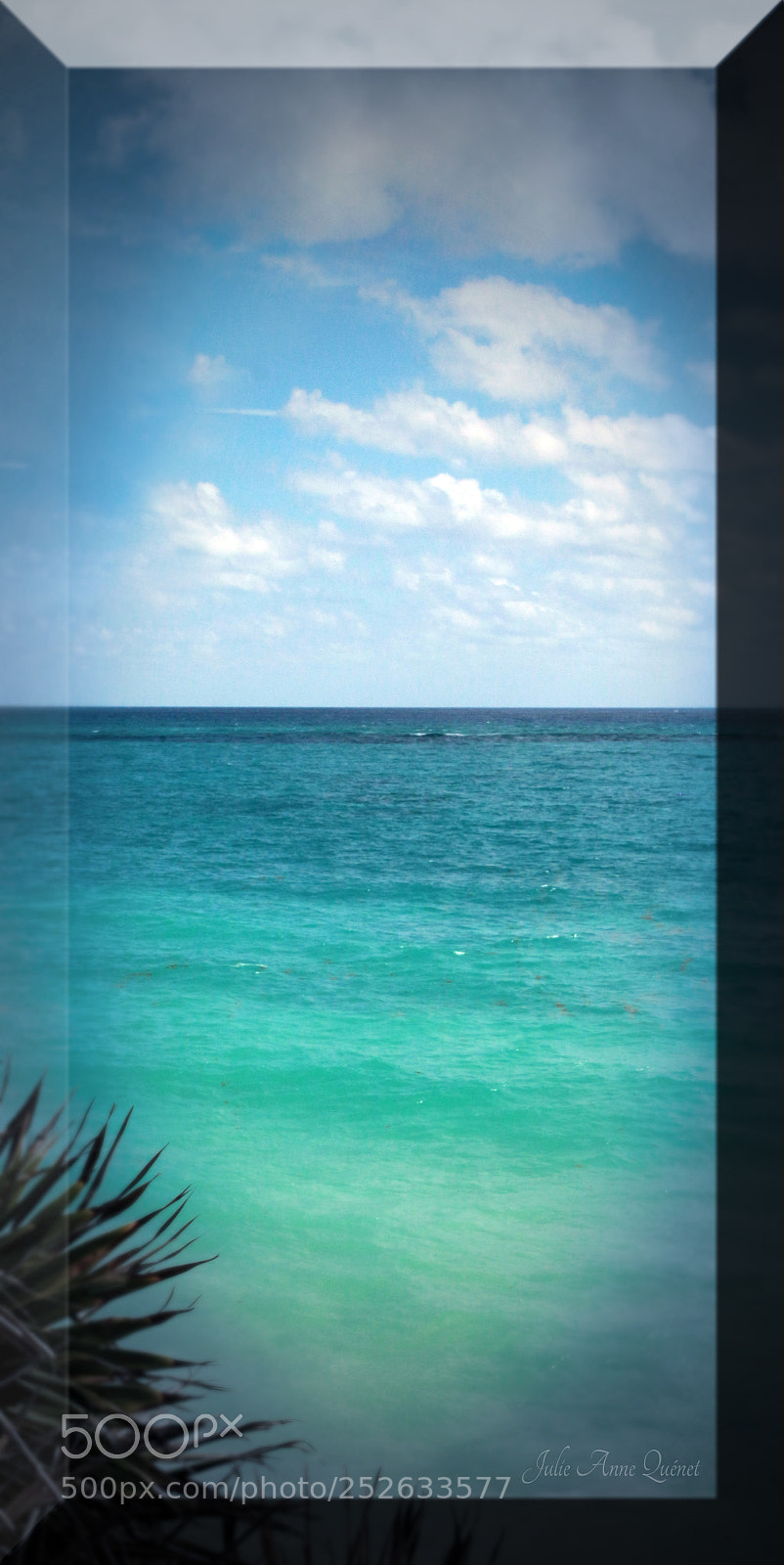 Canon EOS 650D (EOS Rebel T4i / EOS Kiss X6i) sample photo. Southern saffire photography