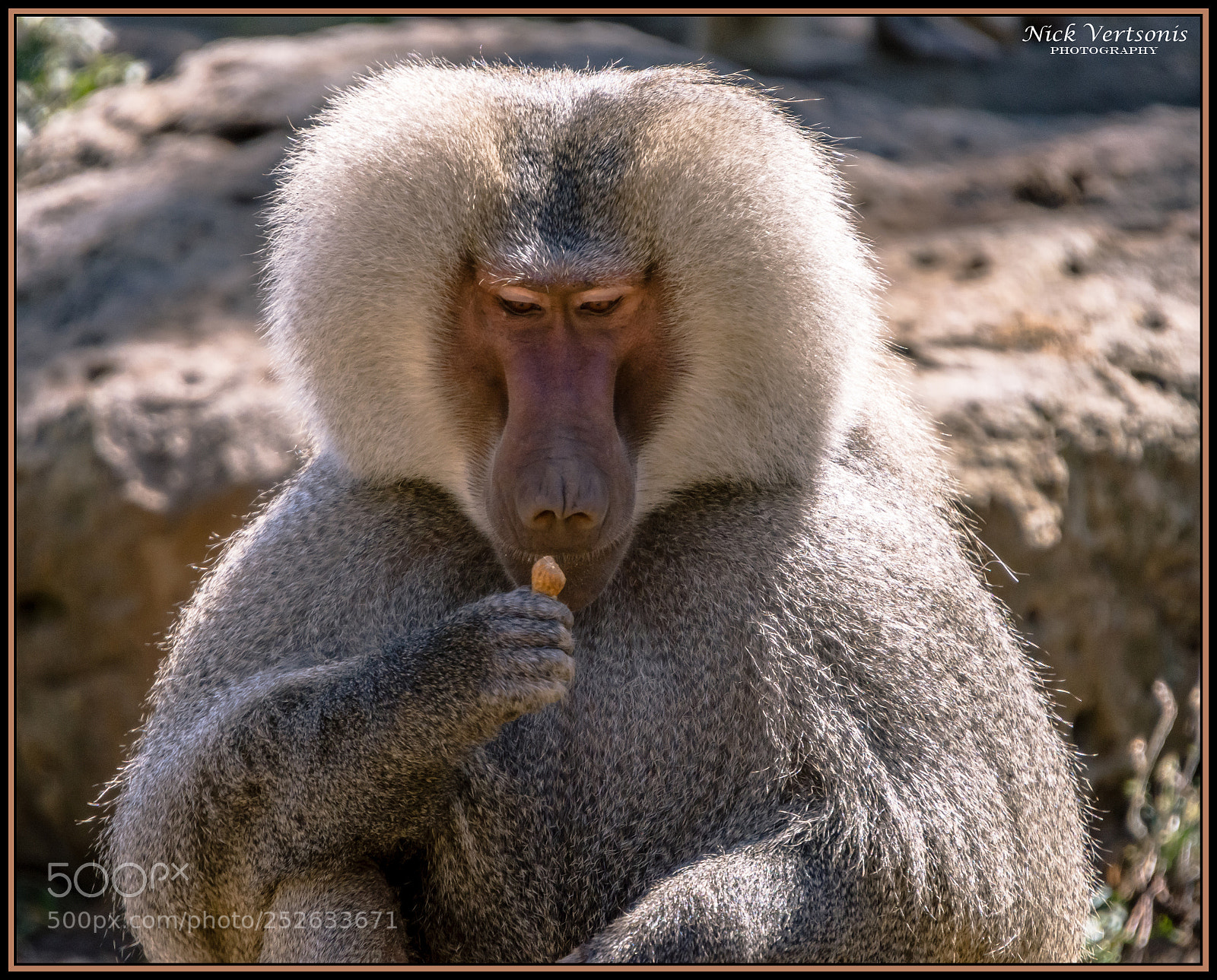 Nikon D7200 sample photo. Peanuts....yum!!! photography
