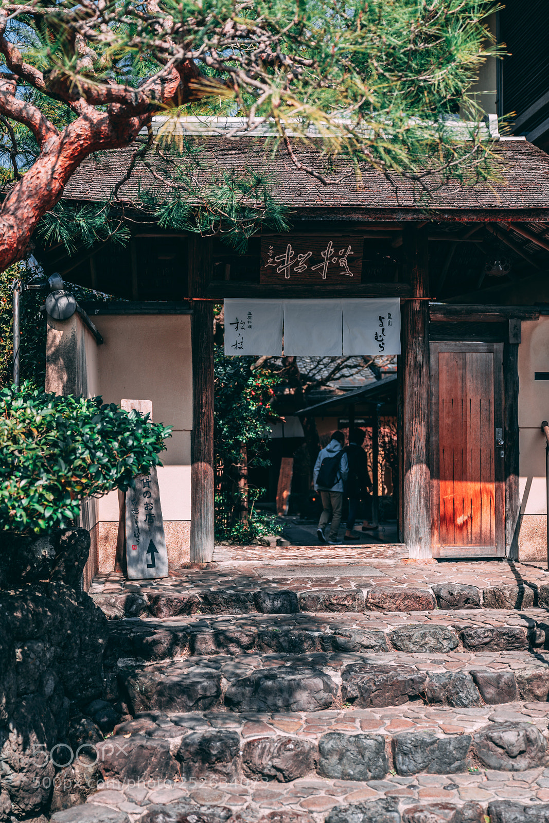 Sony a7R III sample photo. Nunoasobi yoshimura photography