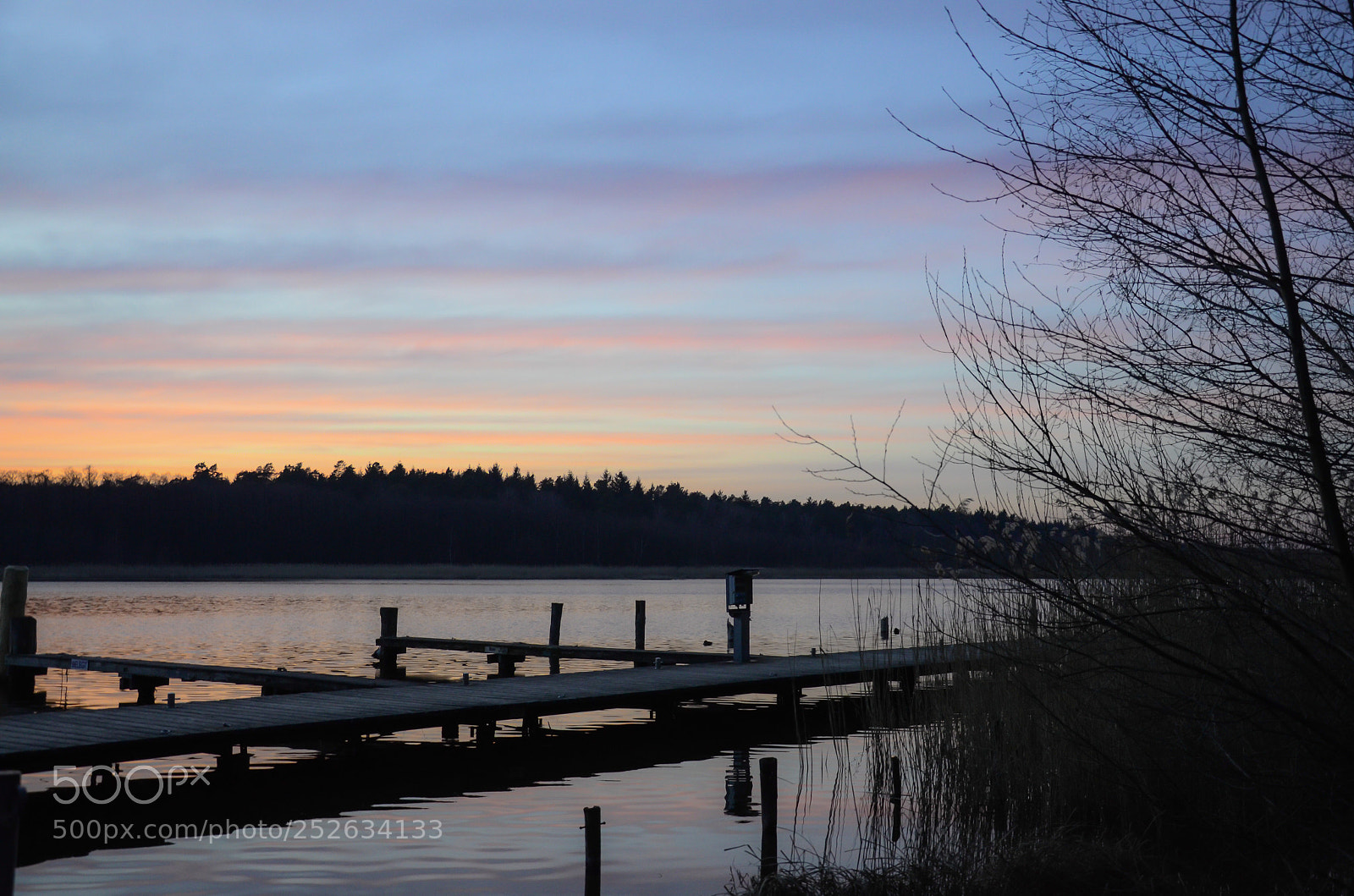 Nikon D7000 sample photo. Quiet photography