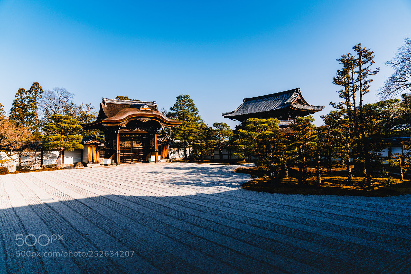 Sony a7R III sample photo. Nantei photography
