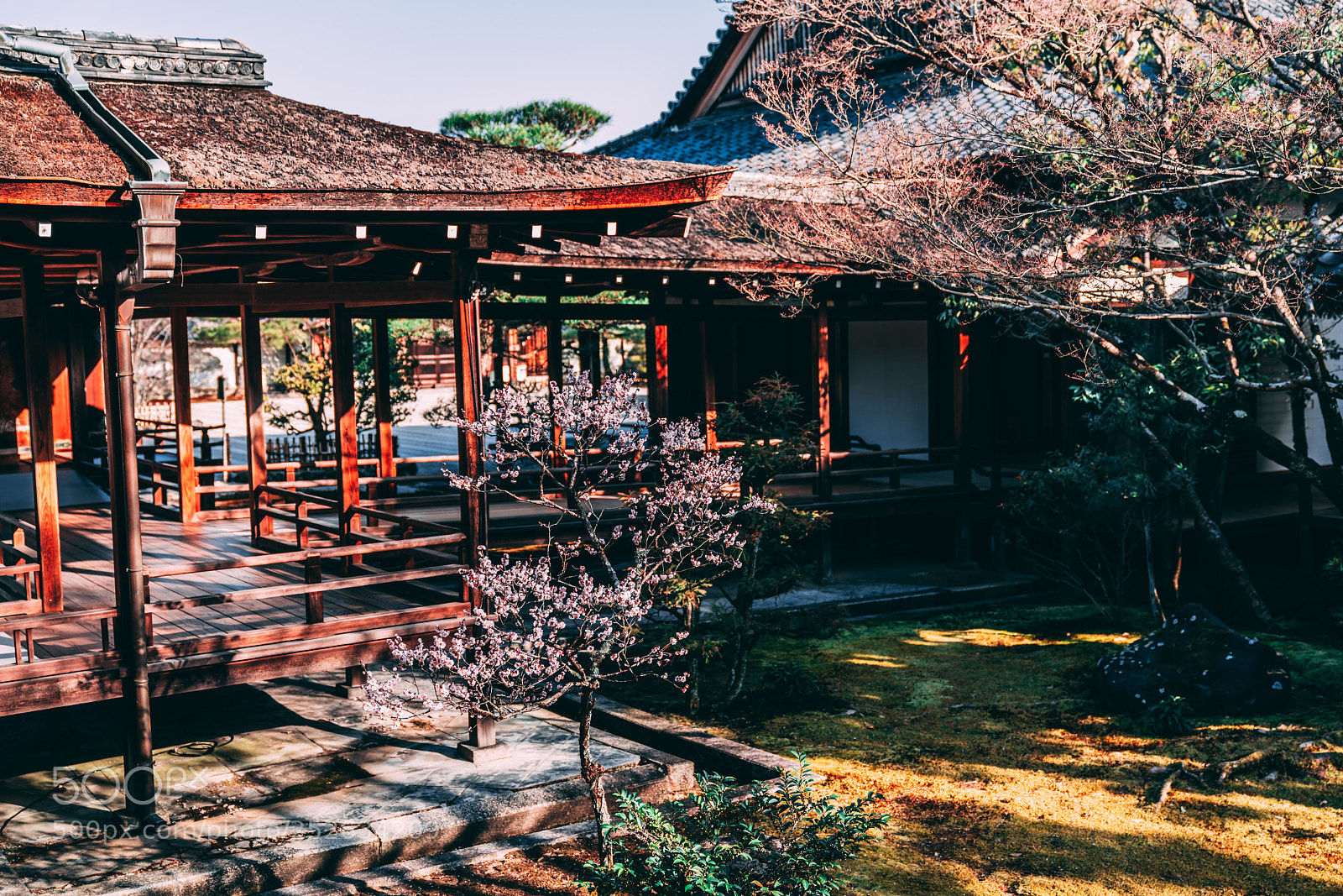 Sony a7R III sample photo. Kurosein garden photography