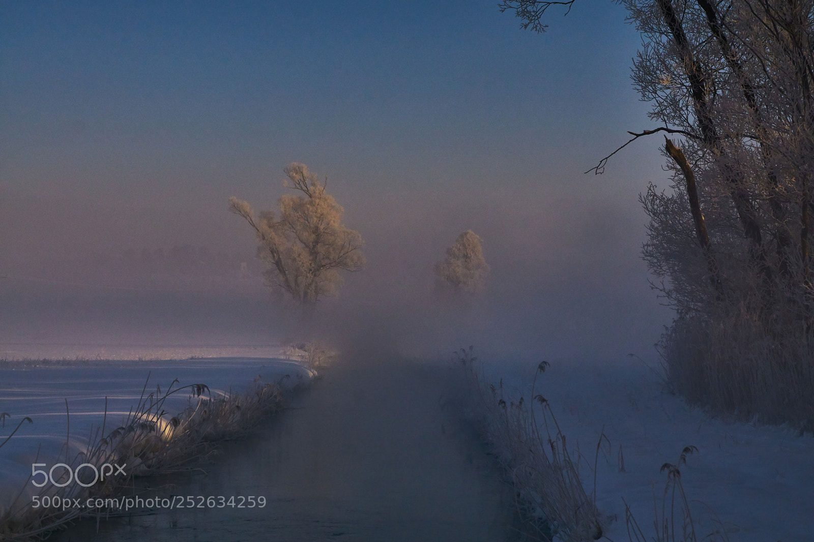 Sony ILCA-77M2 sample photo. Morning photography