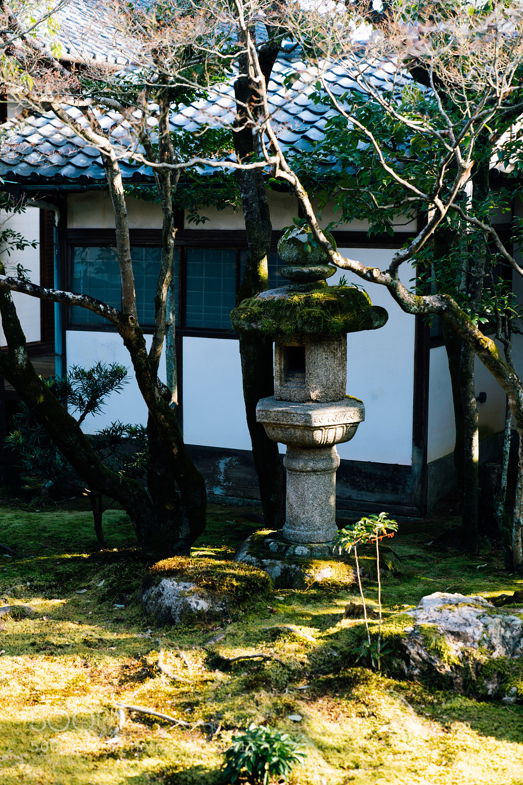 Sony a7R III sample photo. Kurosein toro photography