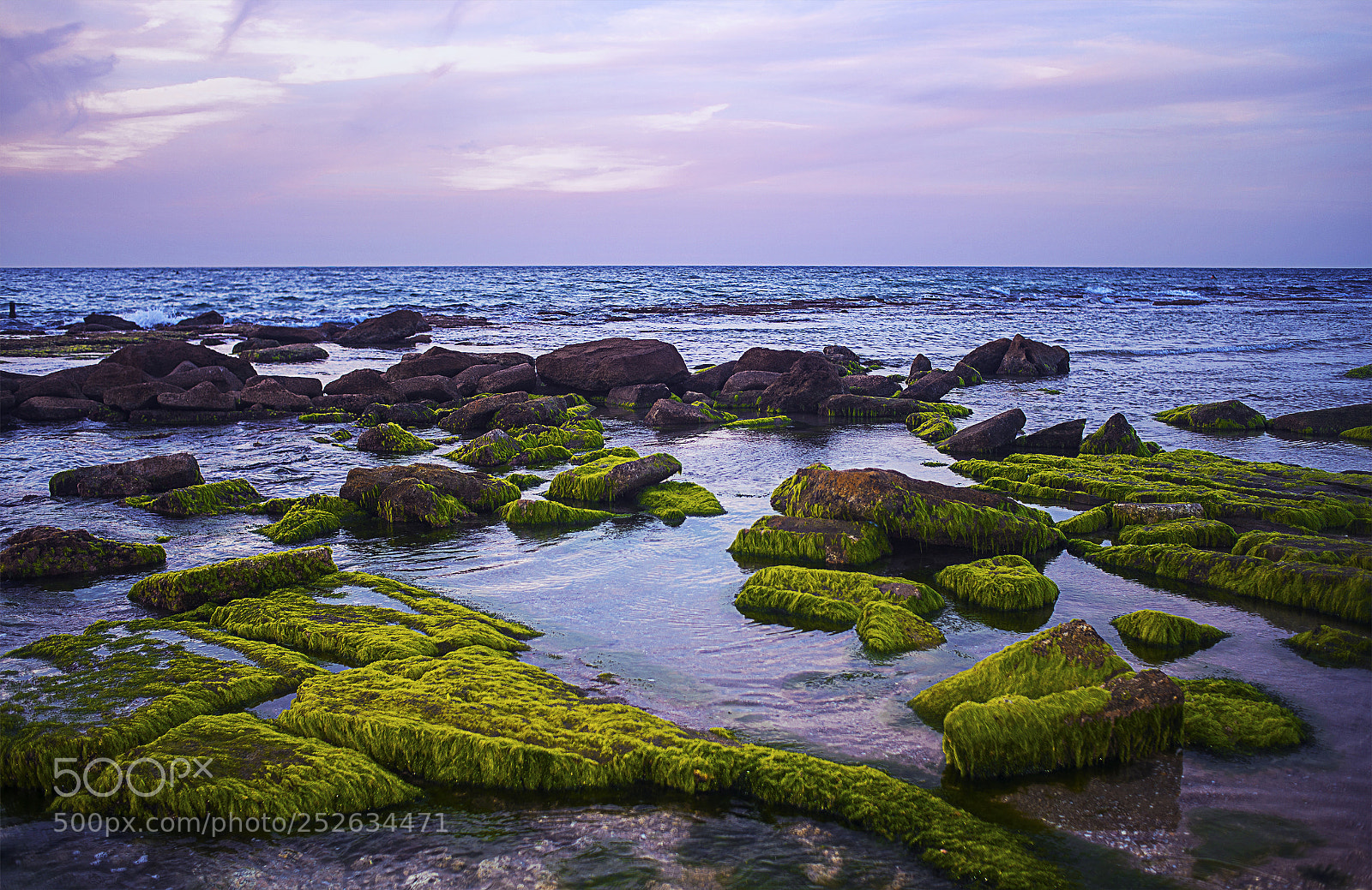 Nikon D600 sample photo. Sea by evening photography