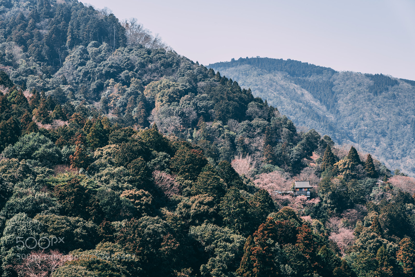 Sony a7R III sample photo. Daihikaku senkoji photography