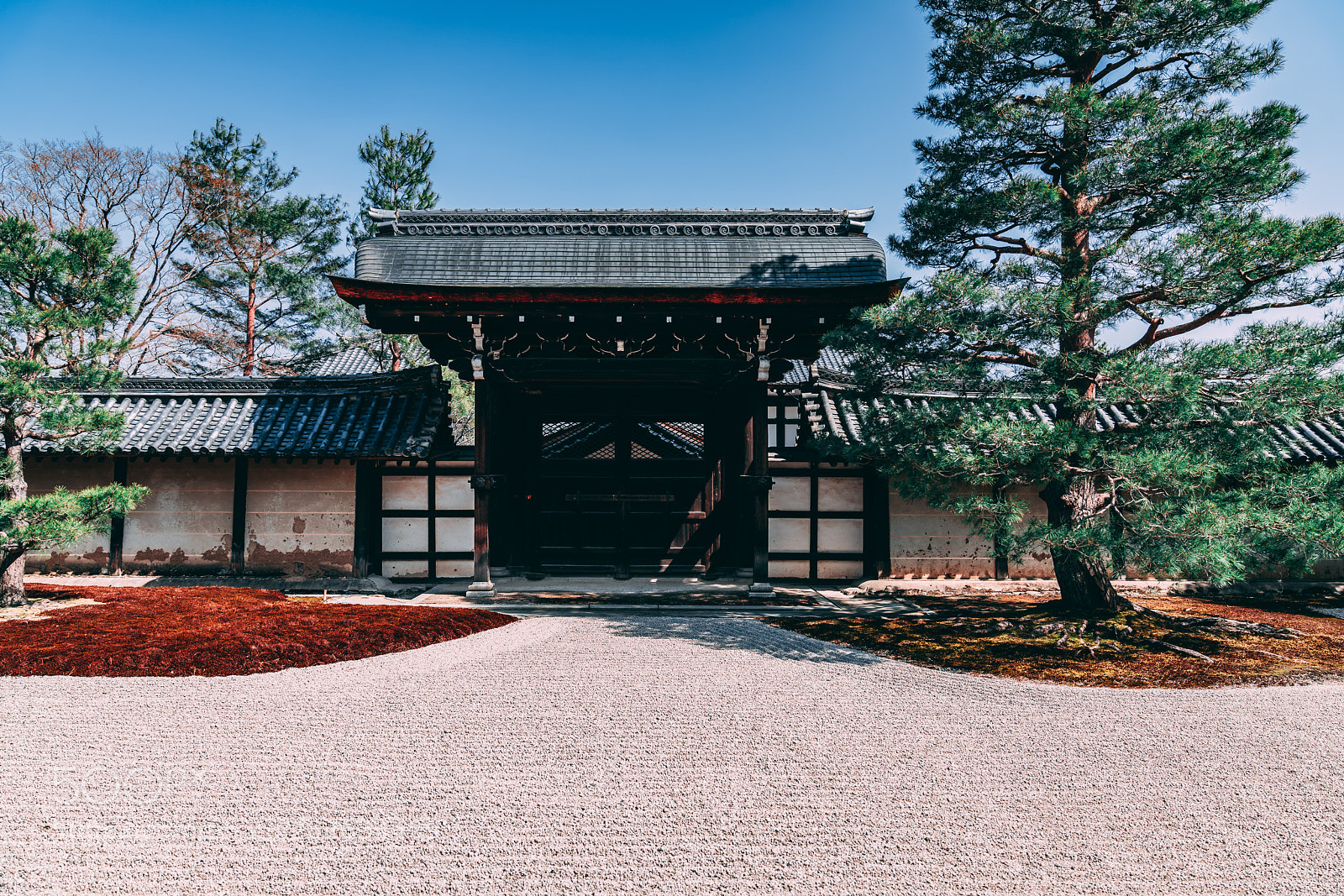 Sony a7R III sample photo. Tenryu-ji gate photography
