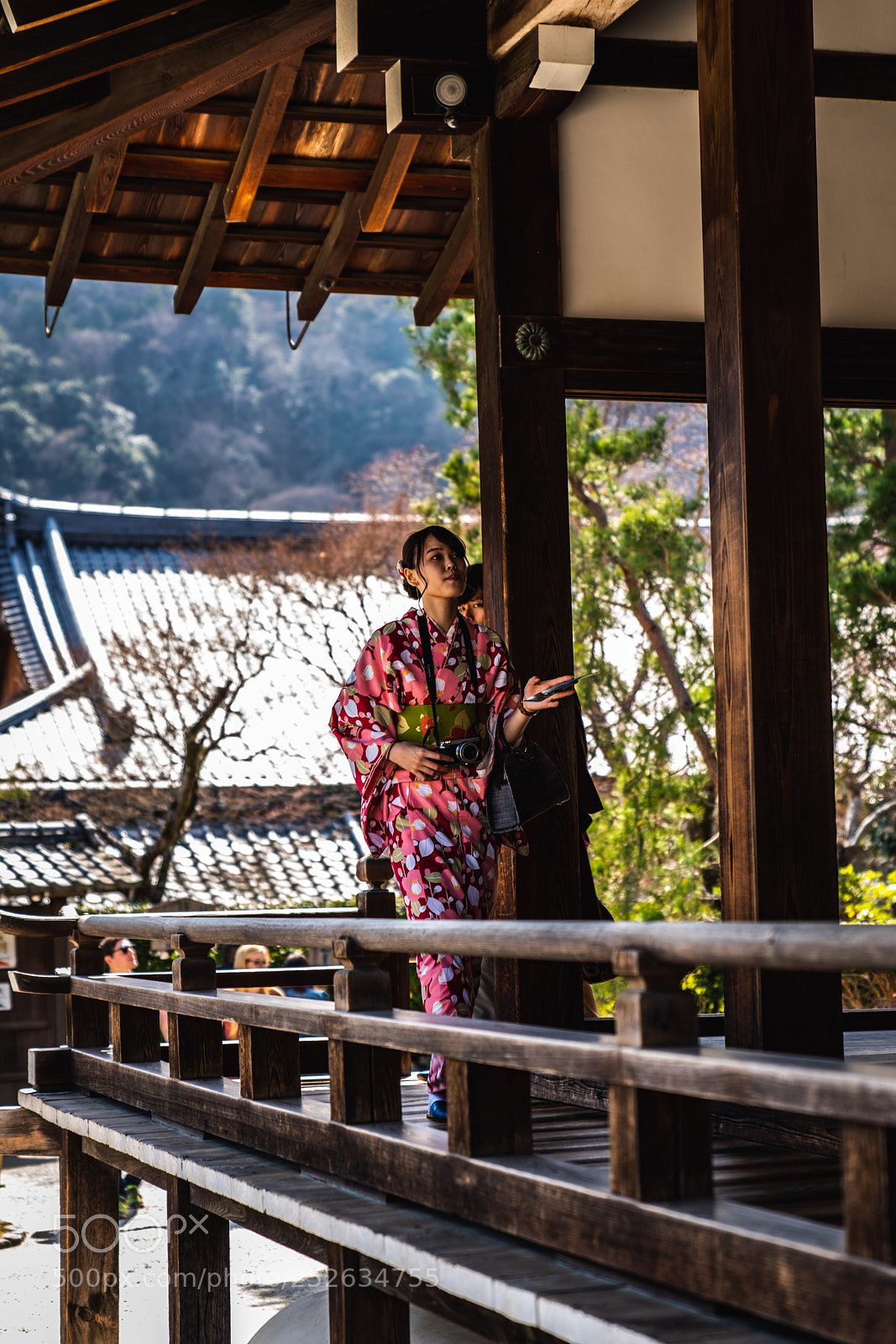 Sony a7R III sample photo. Tenryu-ji temple photography