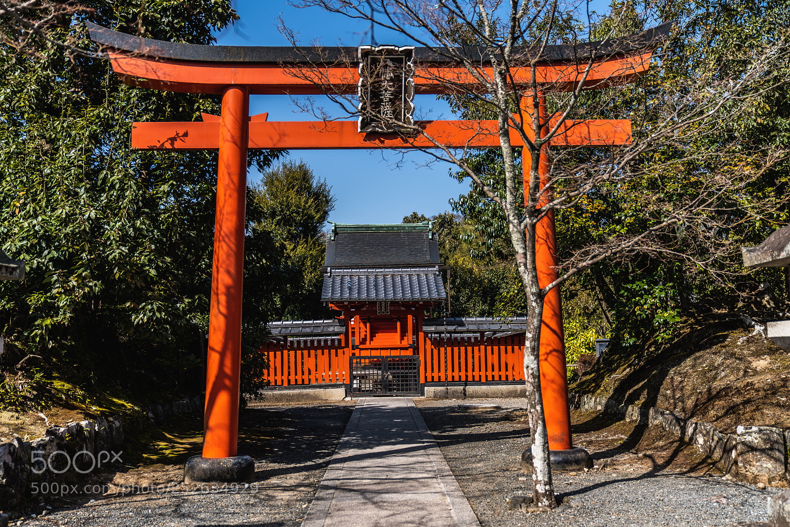 Sony a7R III sample photo. Hiunkannon torii photography