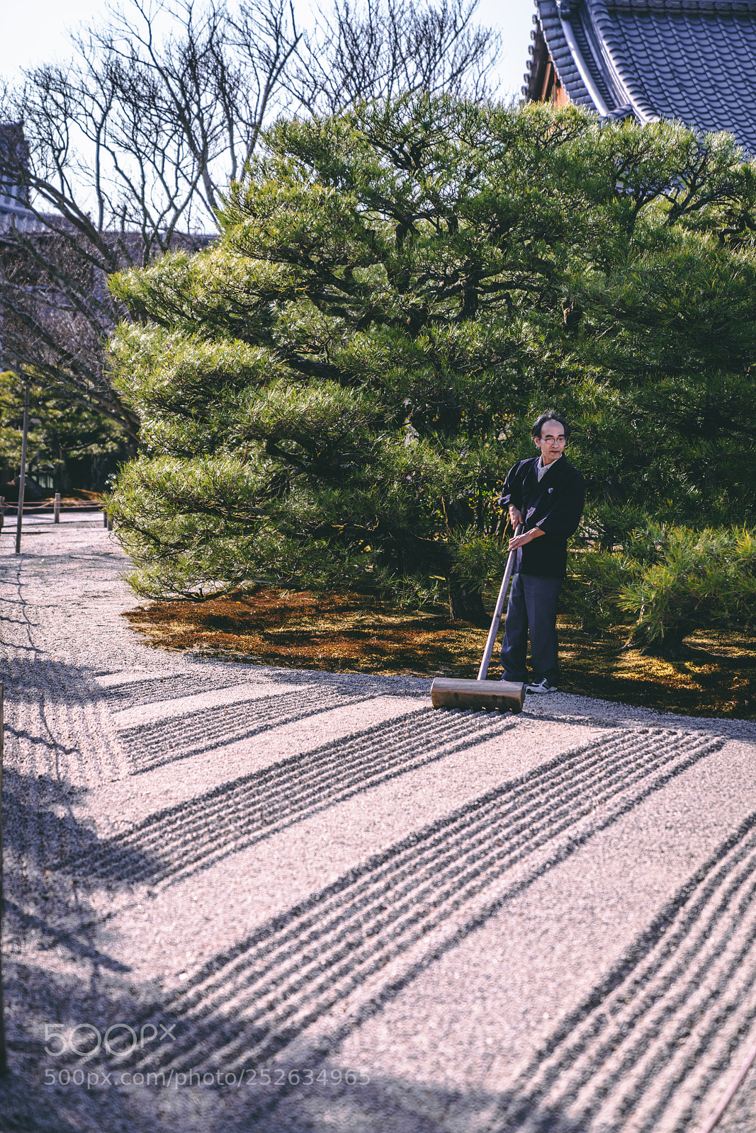 Sony a7R III sample photo. Maintaining the gardens photography