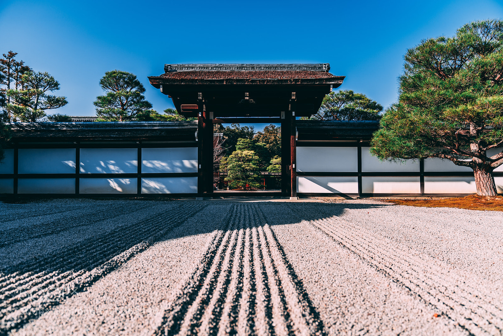Sony a7R III sample photo. Shinden gate photography