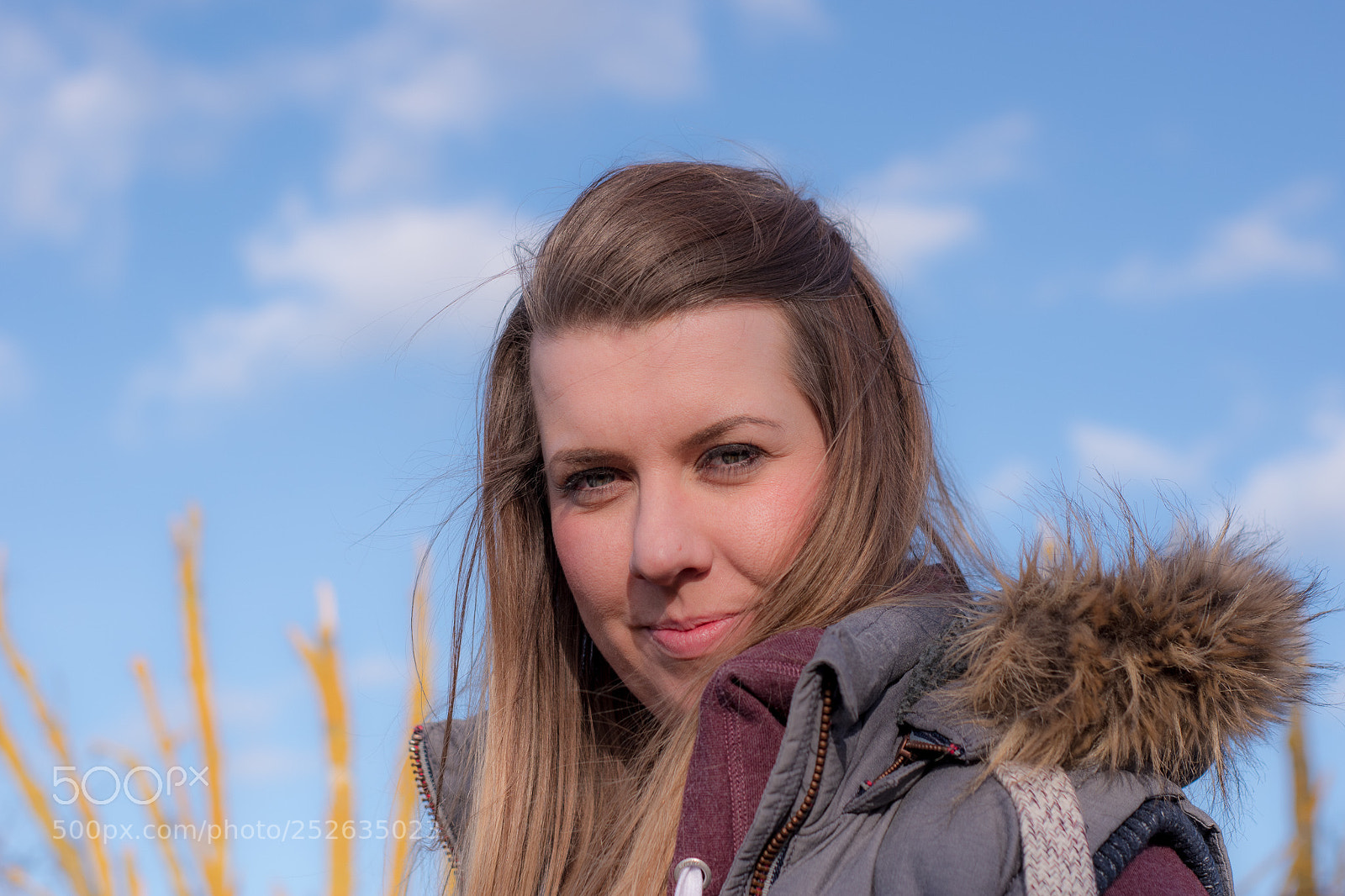 Nikon D5500 sample photo. Blue skies photography